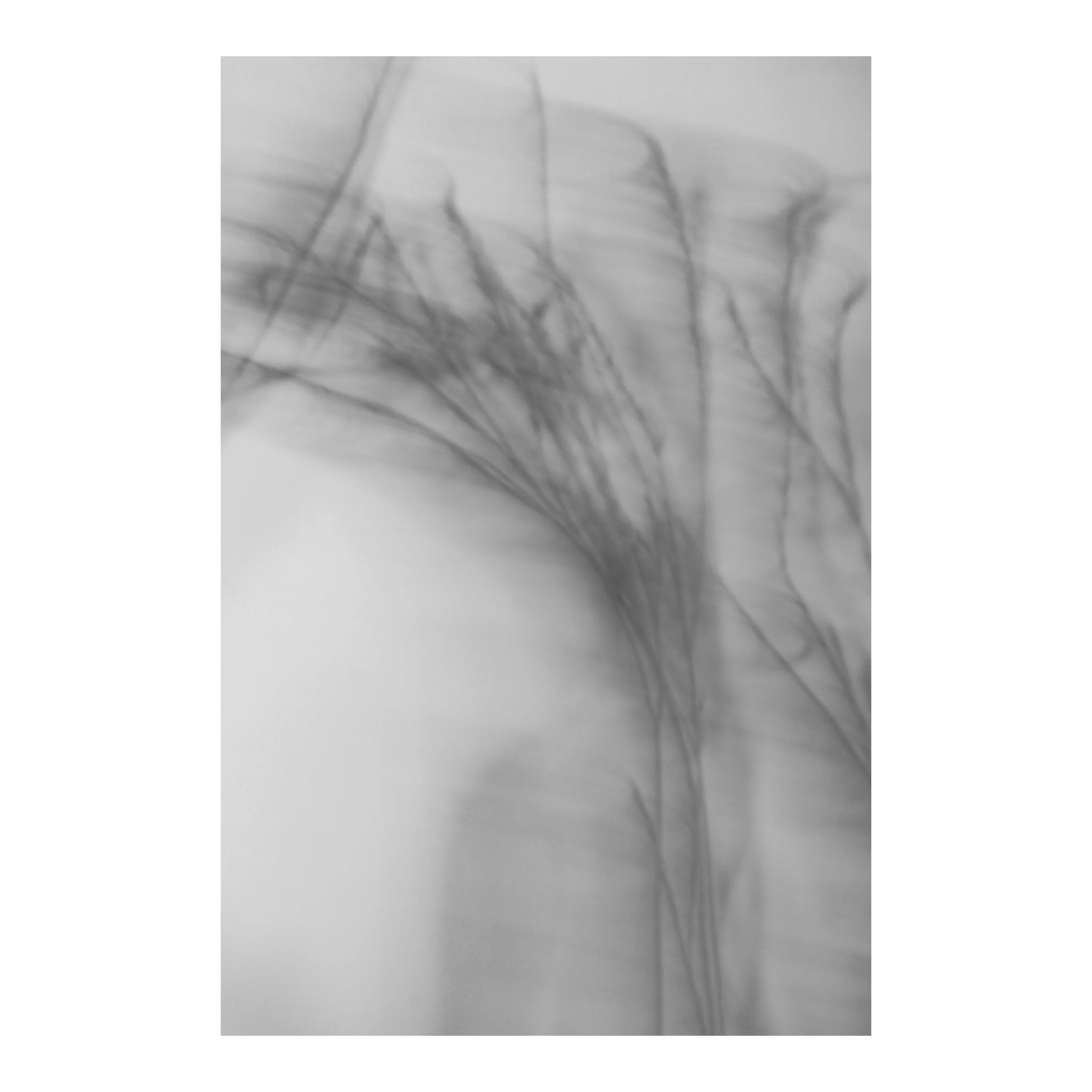 Whitagram-Image 66.JPG