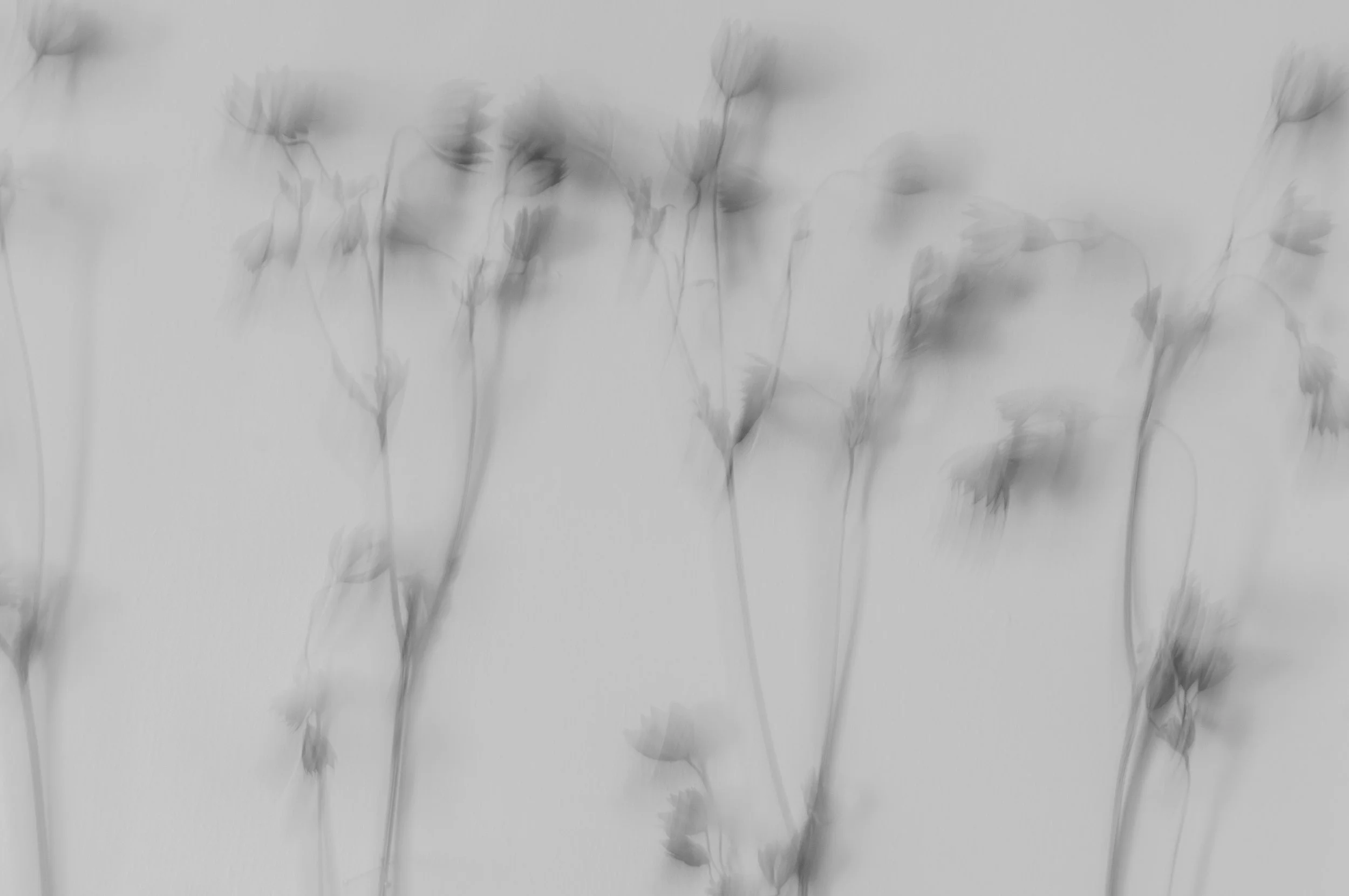 you'reamillionmilesaway-9.jpg