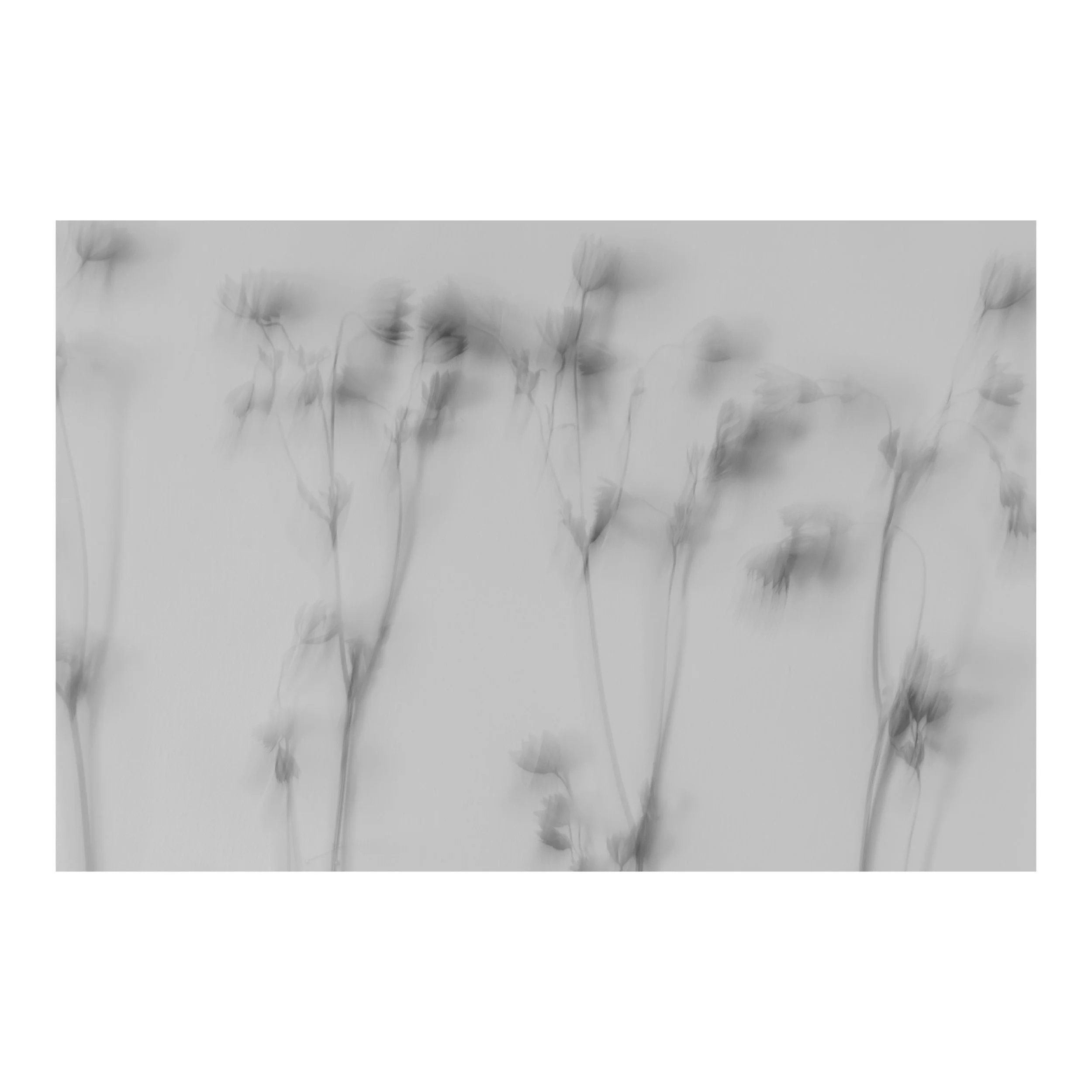 Whitagram-Image 67.JPG