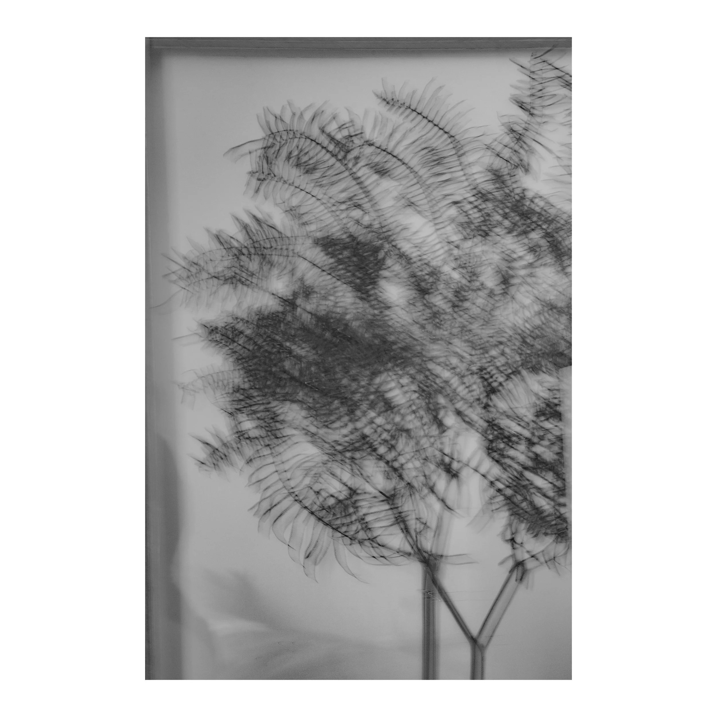 Whitagram-Image 68.JPG