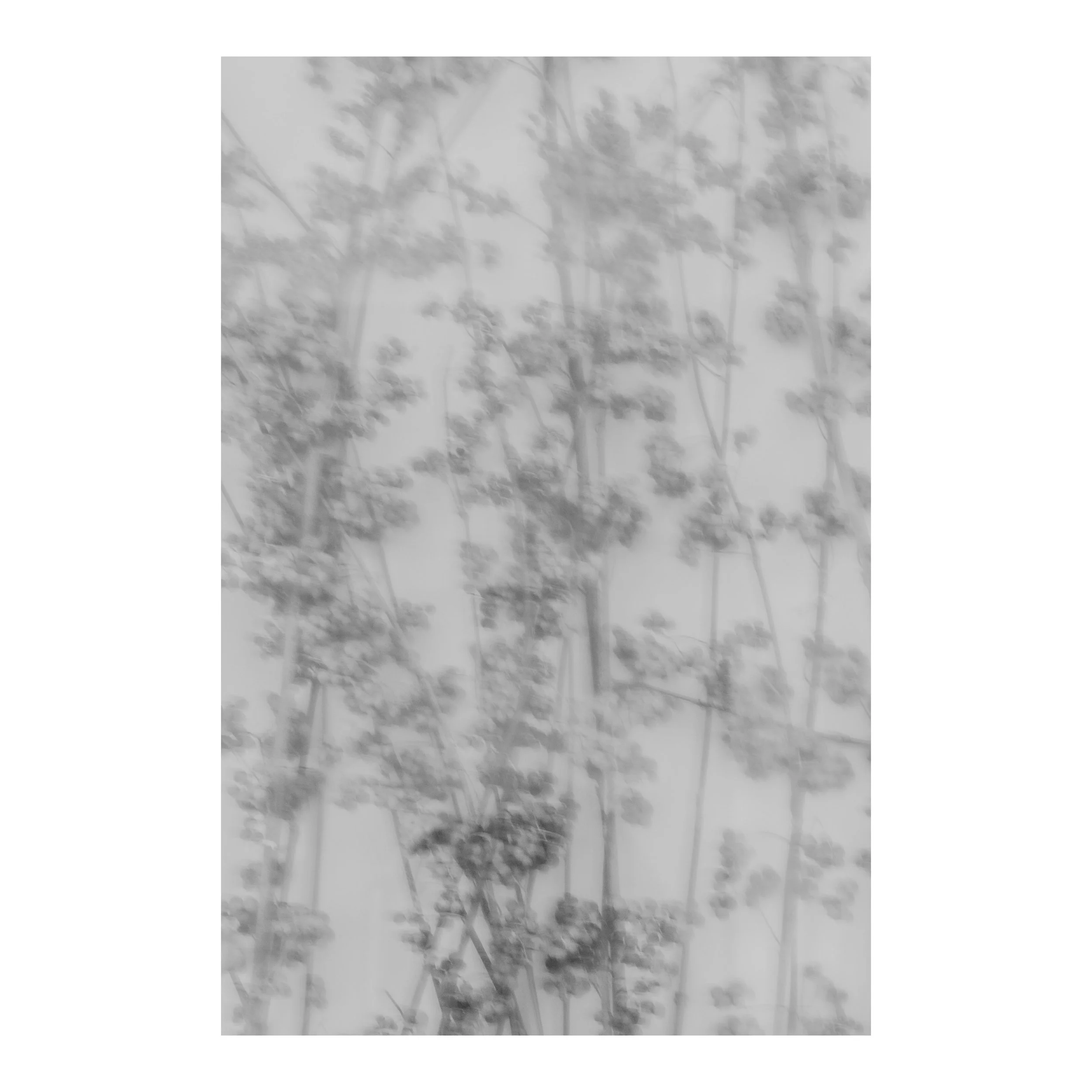 Whitagram-Image 69.JPG