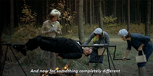 now for something completely different.gif