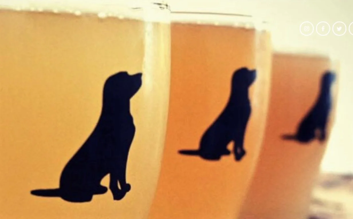 Black Lab image.jpg