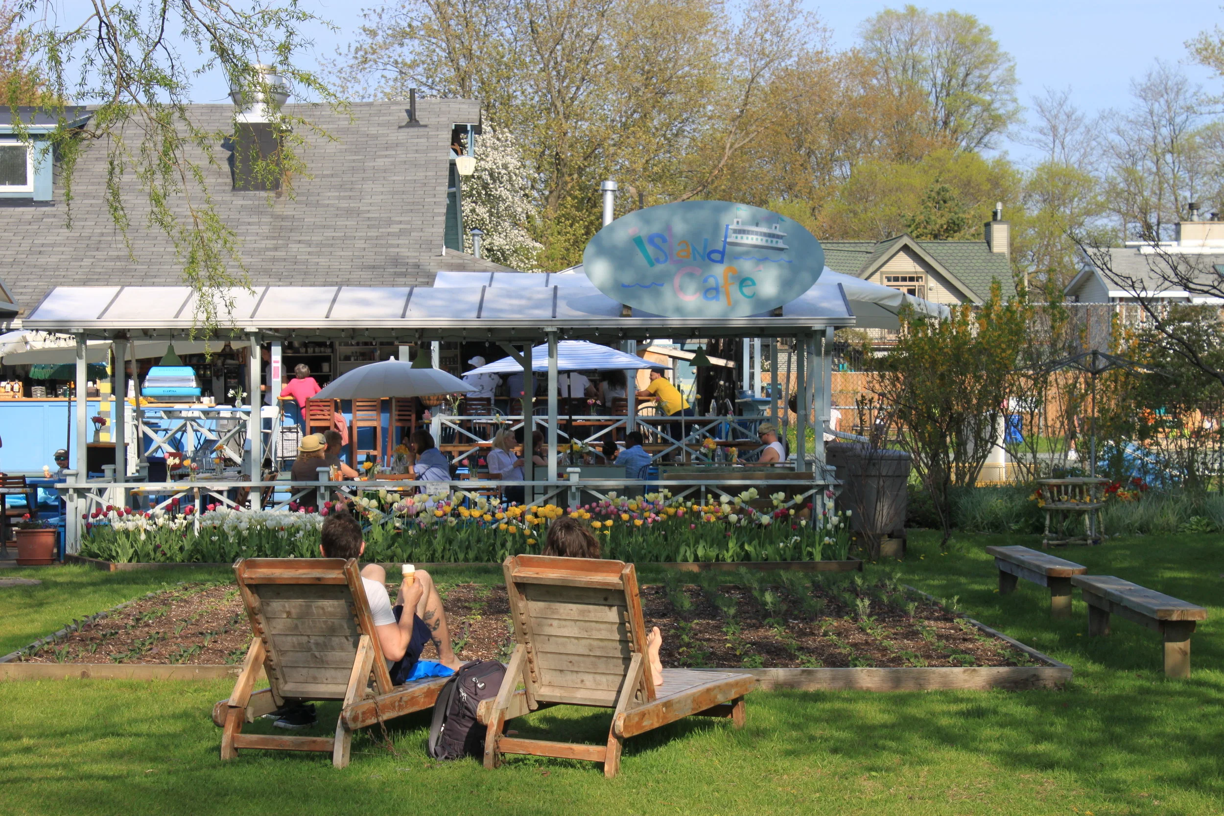 Island Cafe - Wards.jpg