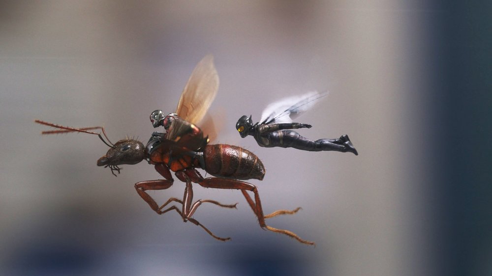 Ant Man and the Wasp Main.jpg