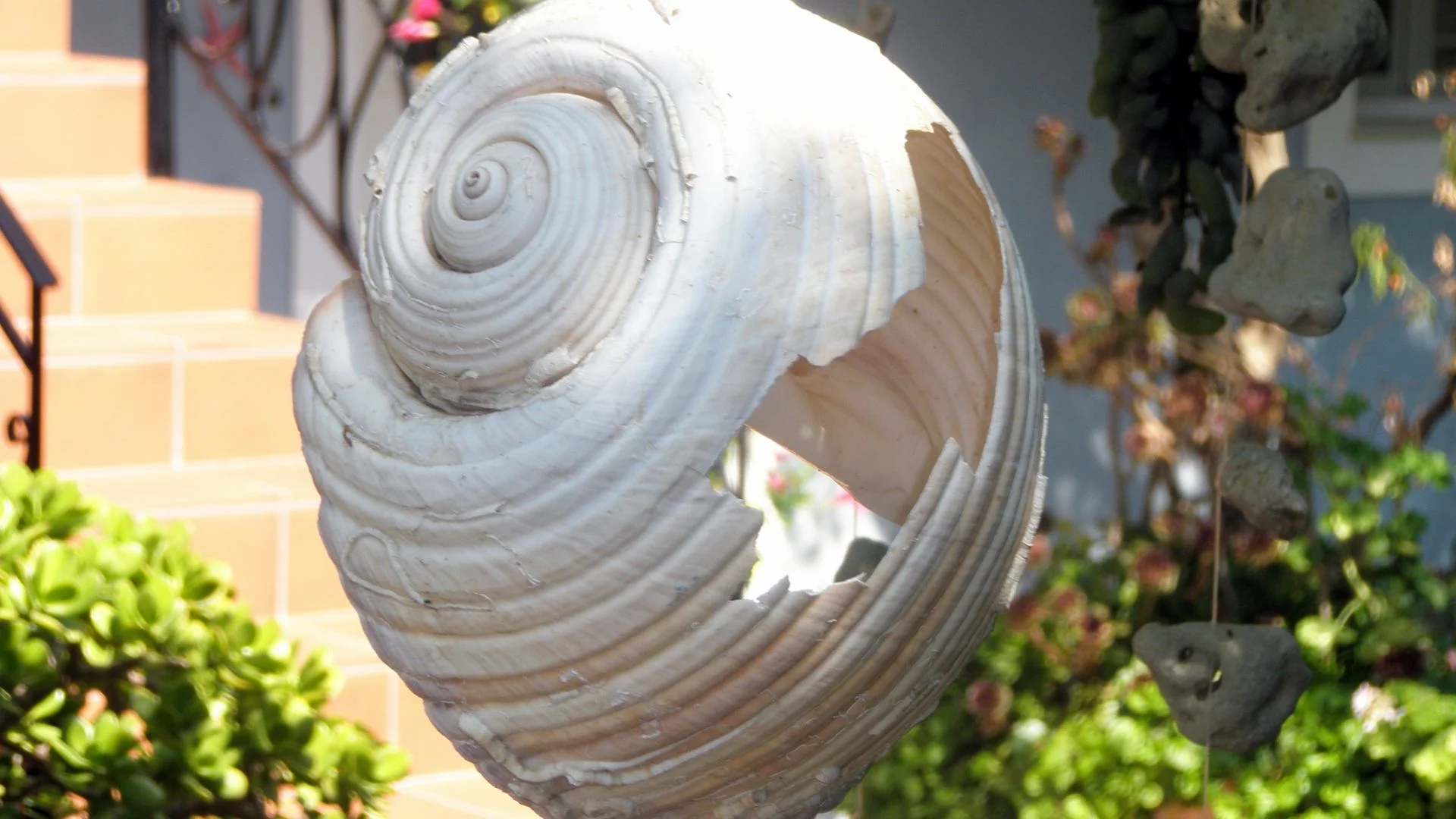 Aeoslos Studios Shell Photo.jpg
