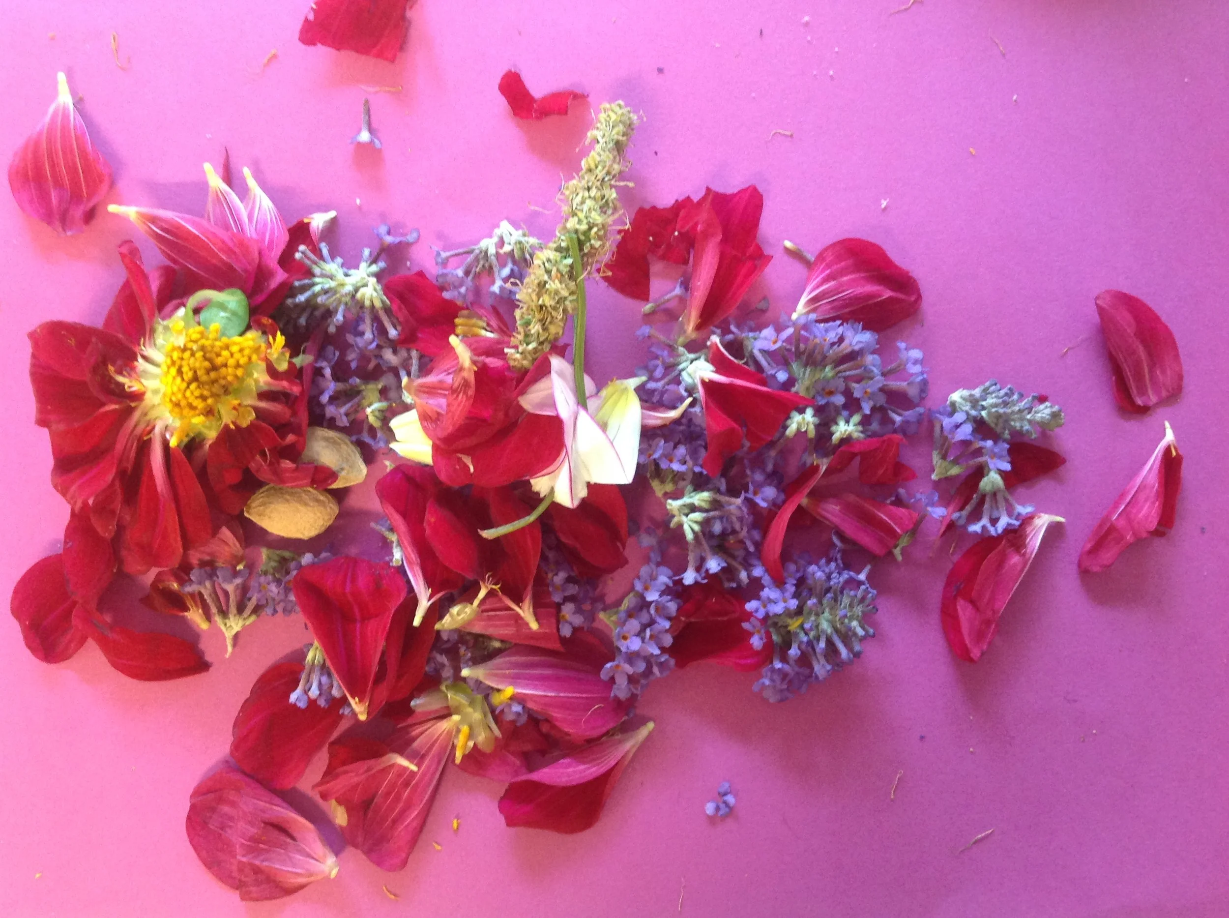 BMMK - Børn møde med kunsten