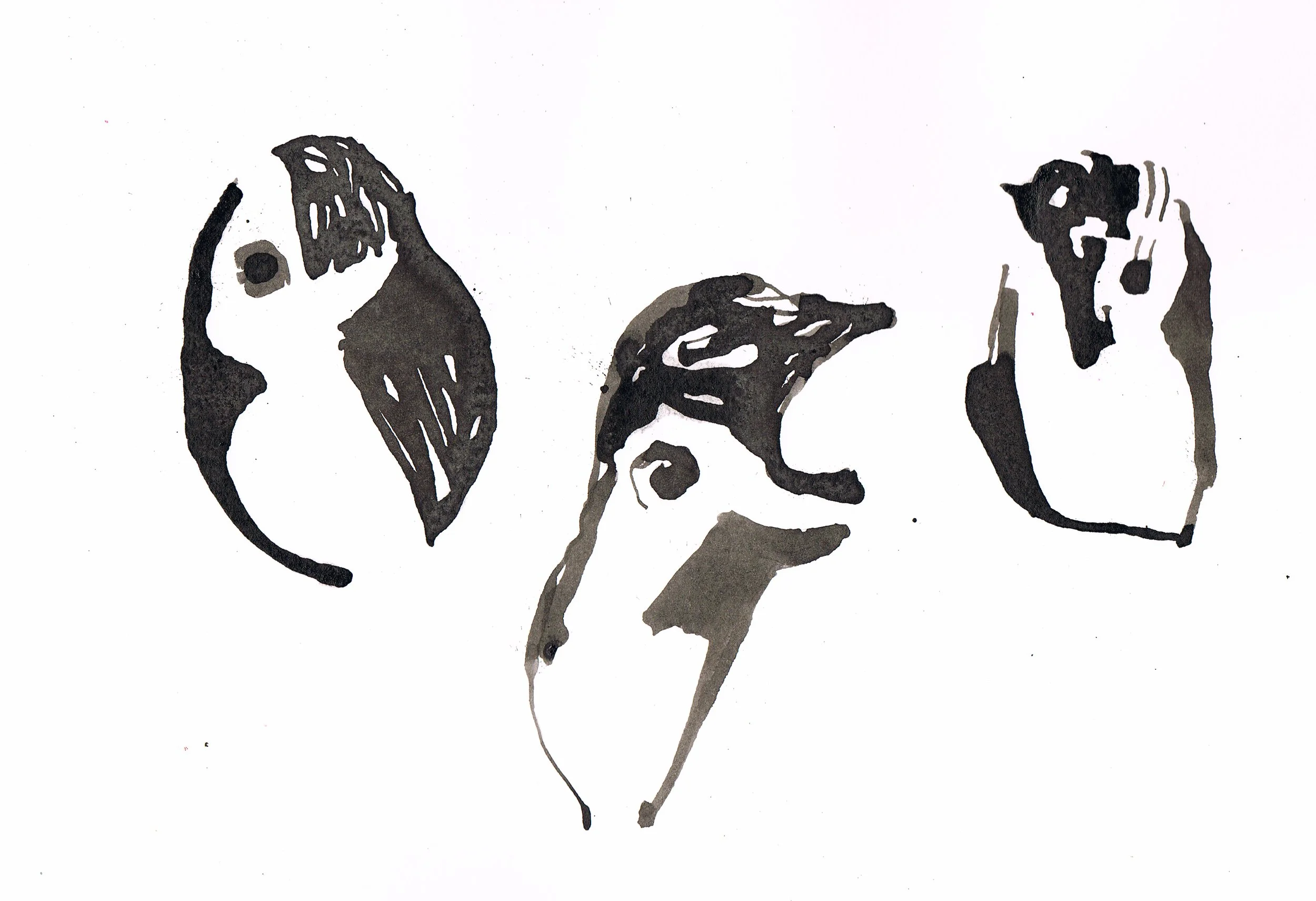 Mit grafiske udtryk