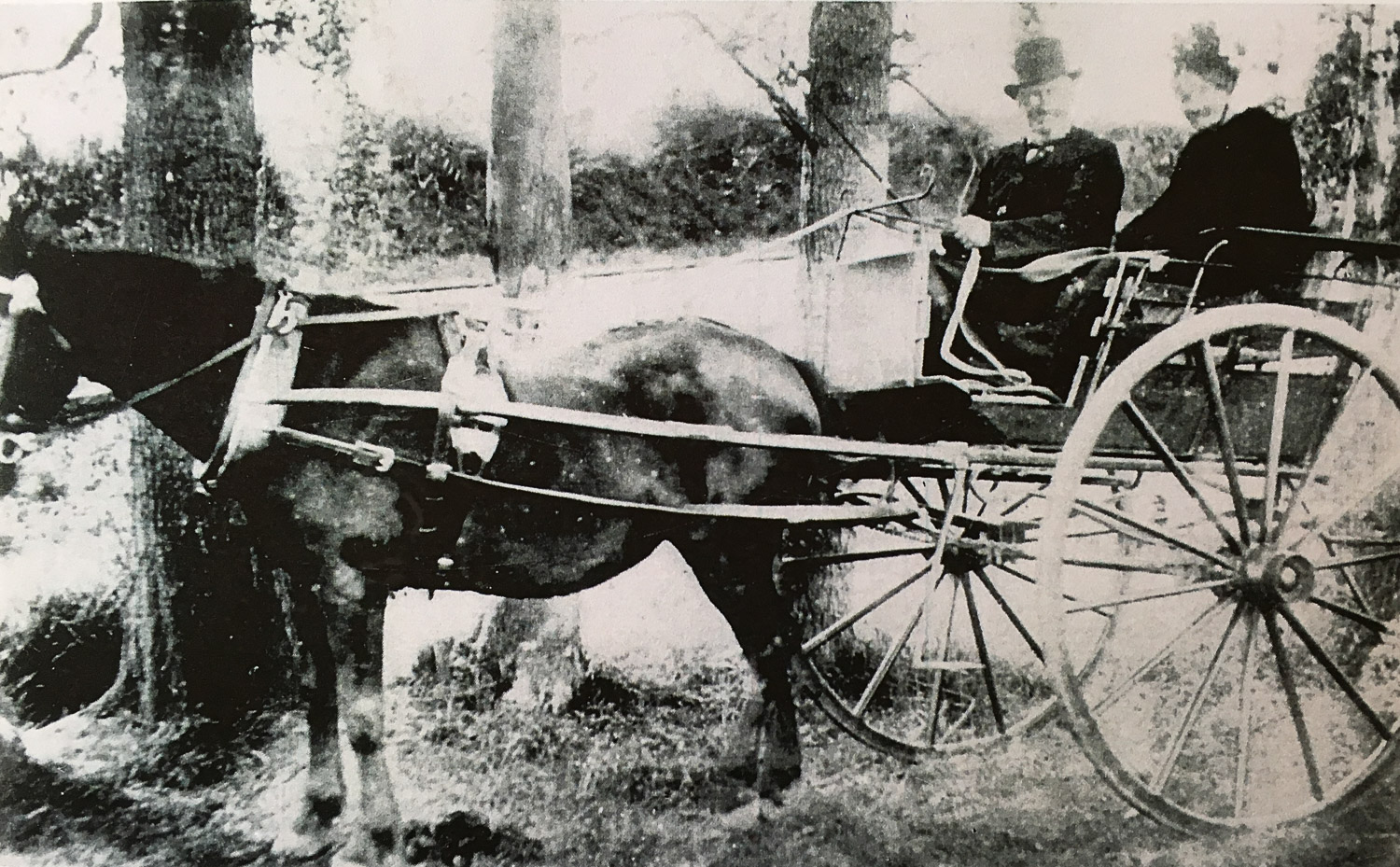 My great, great grandparents Wilson and Anne Taylor (1880)