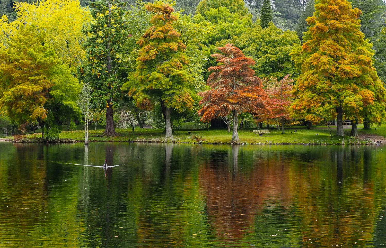 McLaren Falls Park, Lower Kaimai, Tauranga, New Zealand. 1/80sec at f/6.3