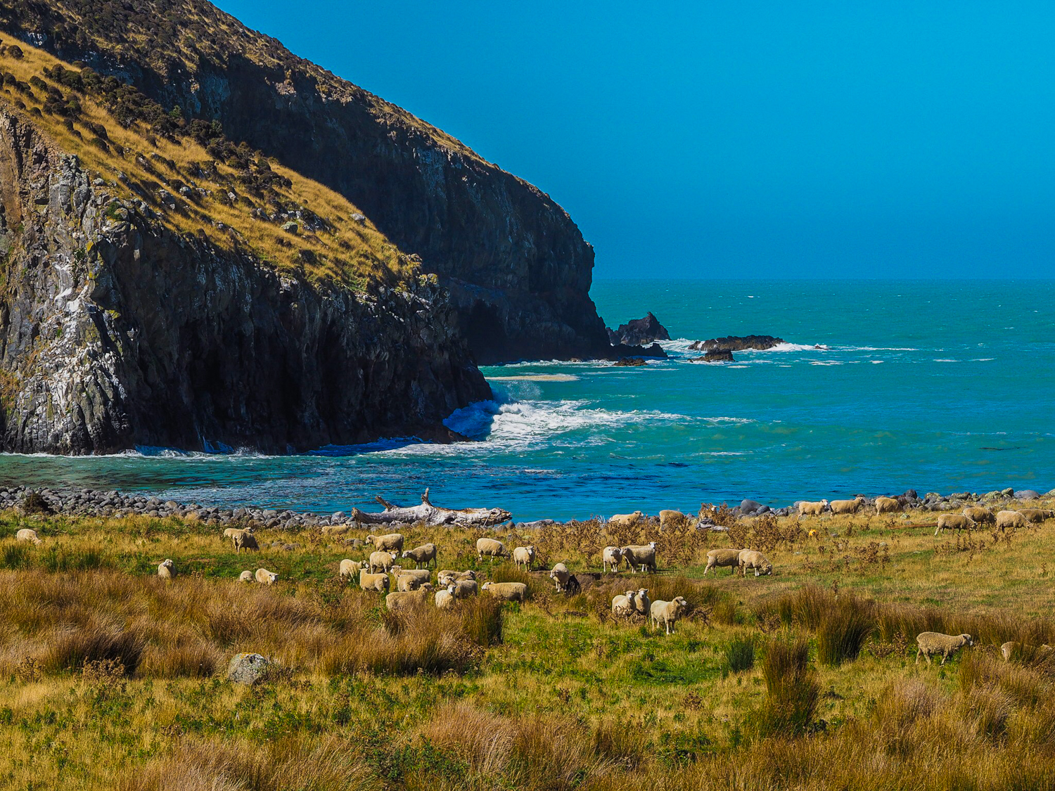 Dramatic wild atmospheric Paua Bay