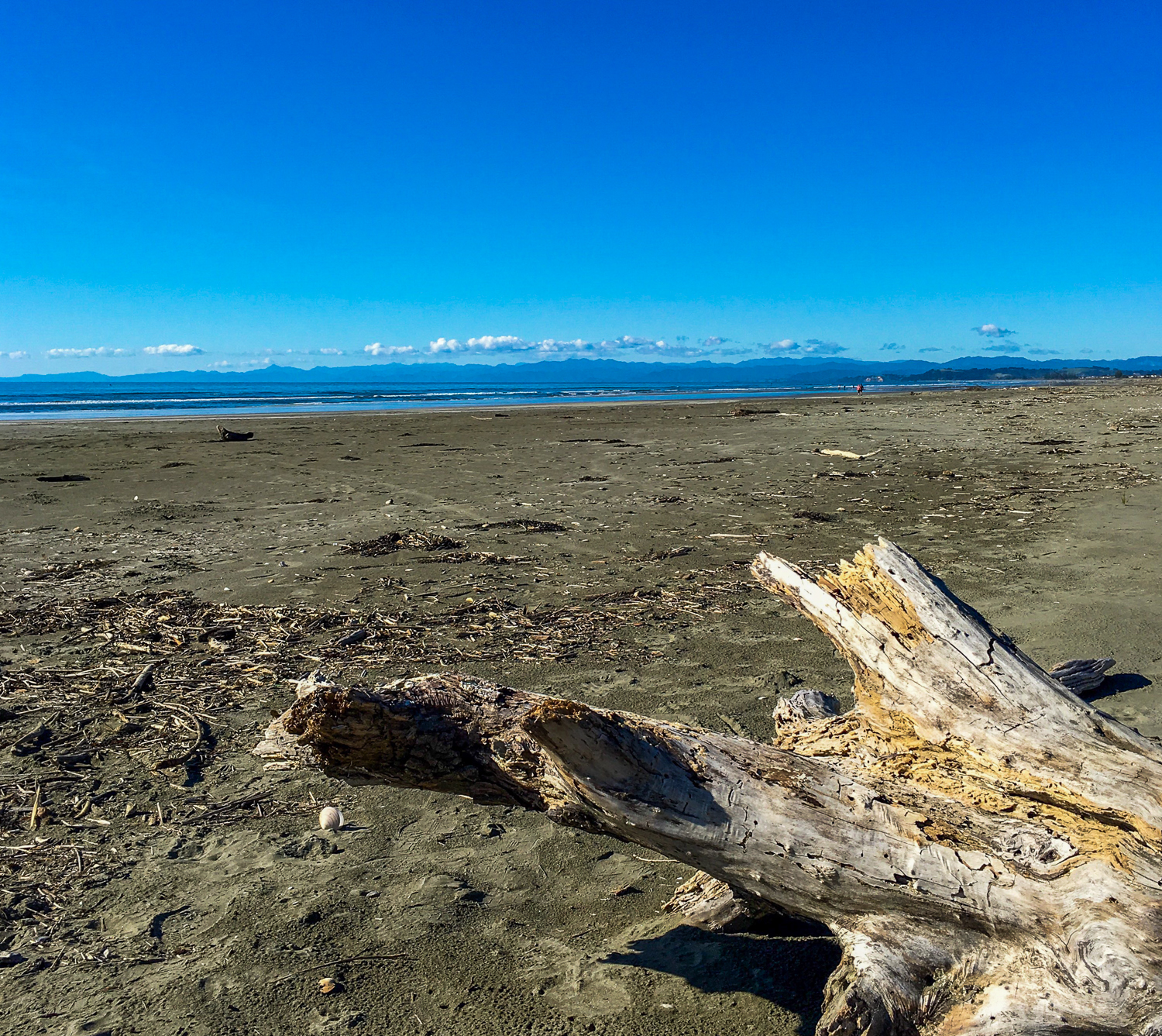 Ohope Beach, Eastern Bay of Plenty, NZ. iPhone6s