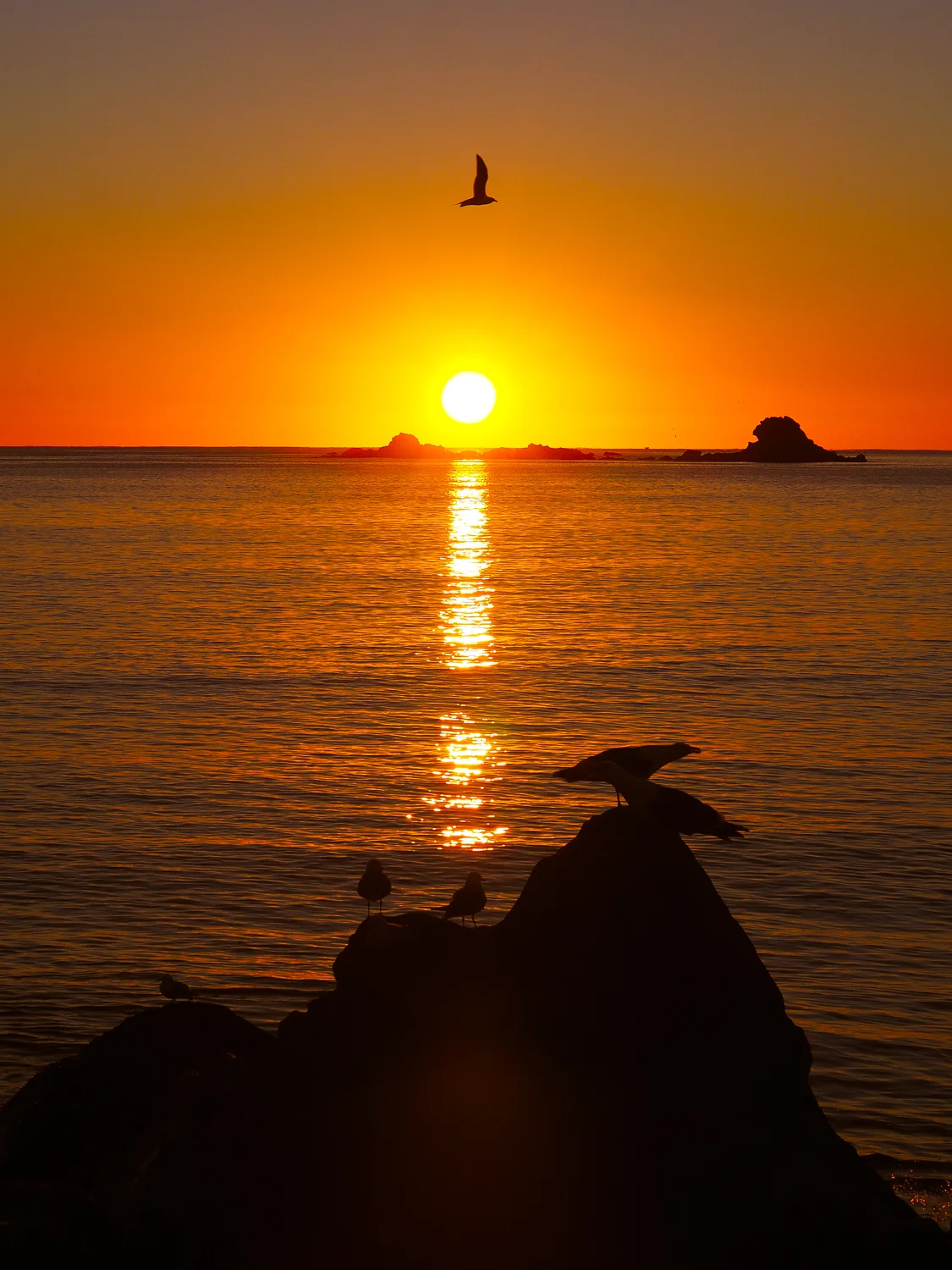 First light, first flight. 1/500sec, f/10, ISO200