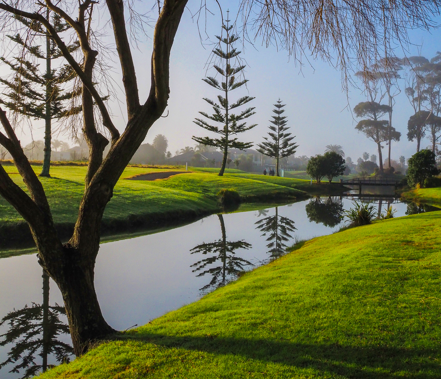 Misty morning stillness at the end of my street. 1/400sec, f/18, ISO 1250