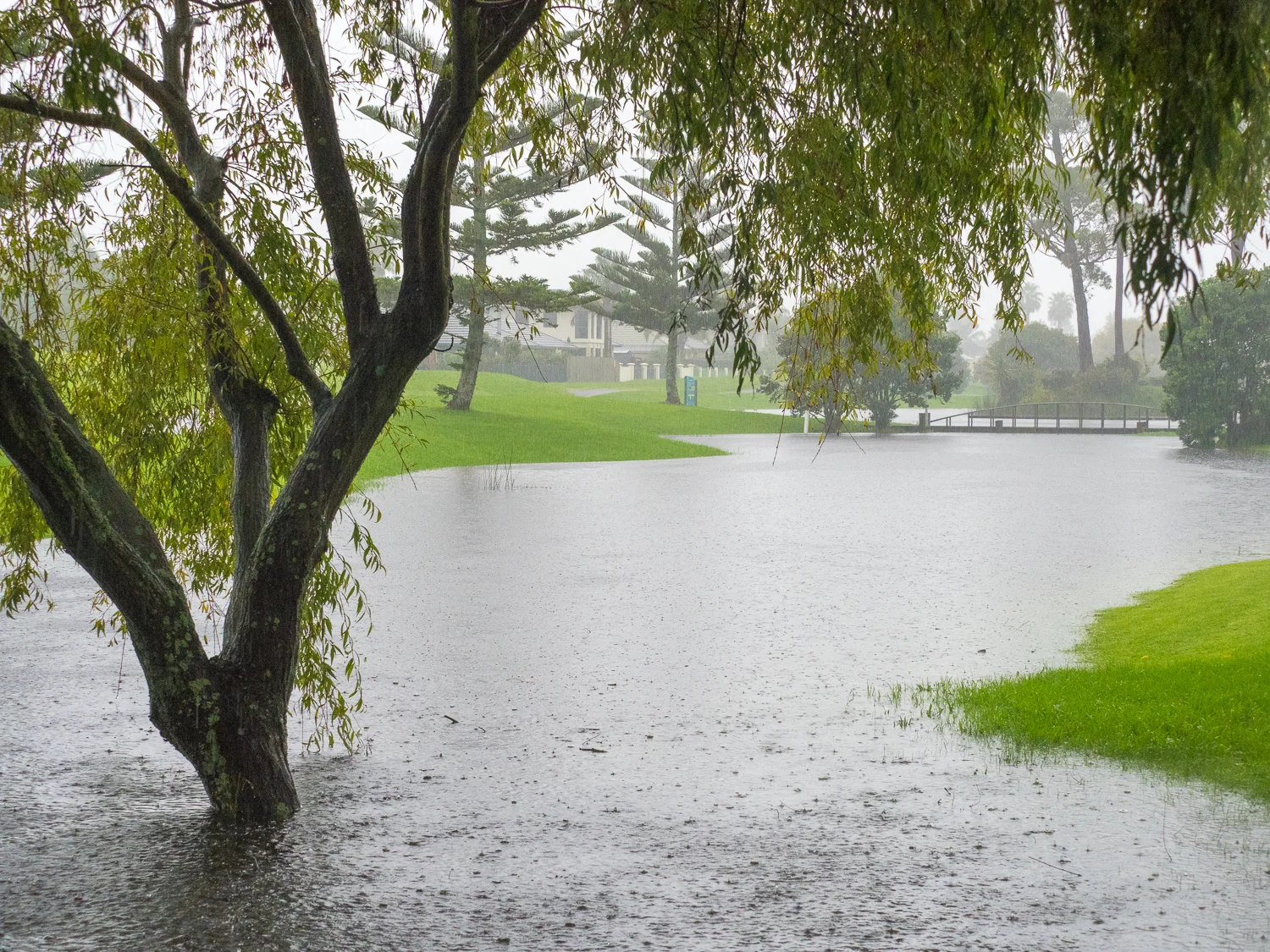 New swimming option at the end of our street. 5 April 2017