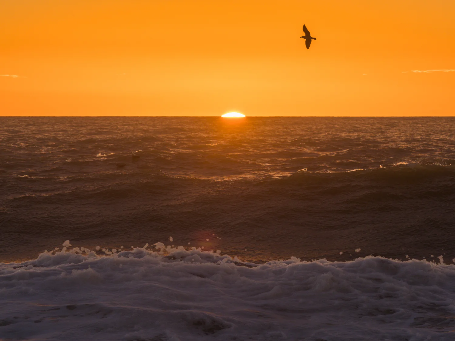First light, Awatoto, Napier, NZ. Olympus O-MD E-M1 & Olympus 40-150mm f/2.8 lens. 1/200 sec @ F/6.3, ISO 200