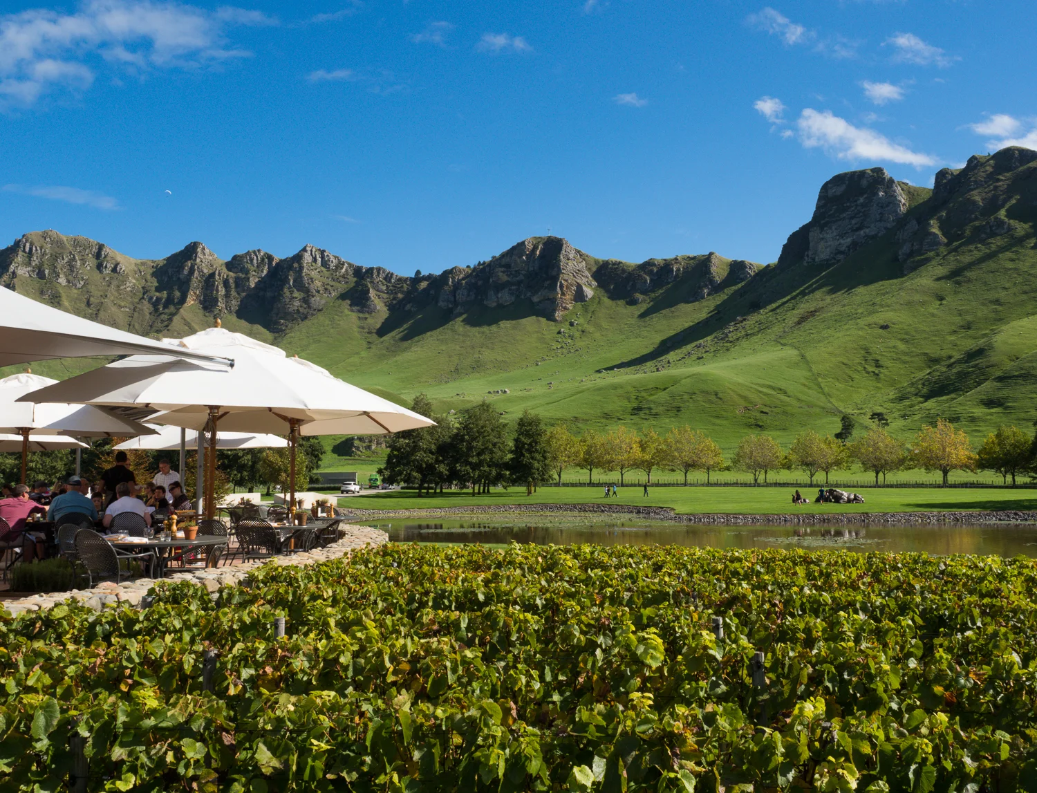 Craggy Range Vineyard & Winery, Havelock North.