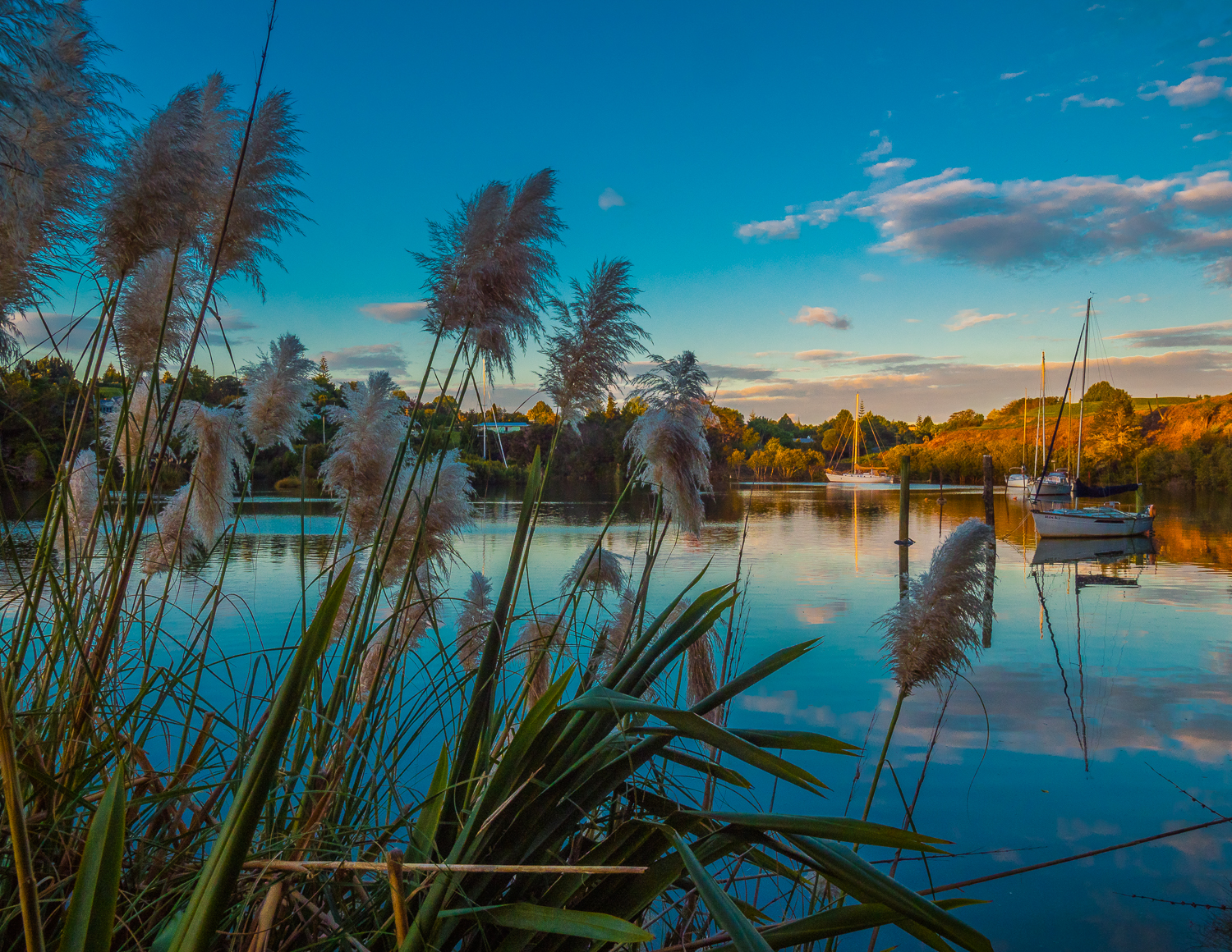Last light in the Kerikeri Inlet. 