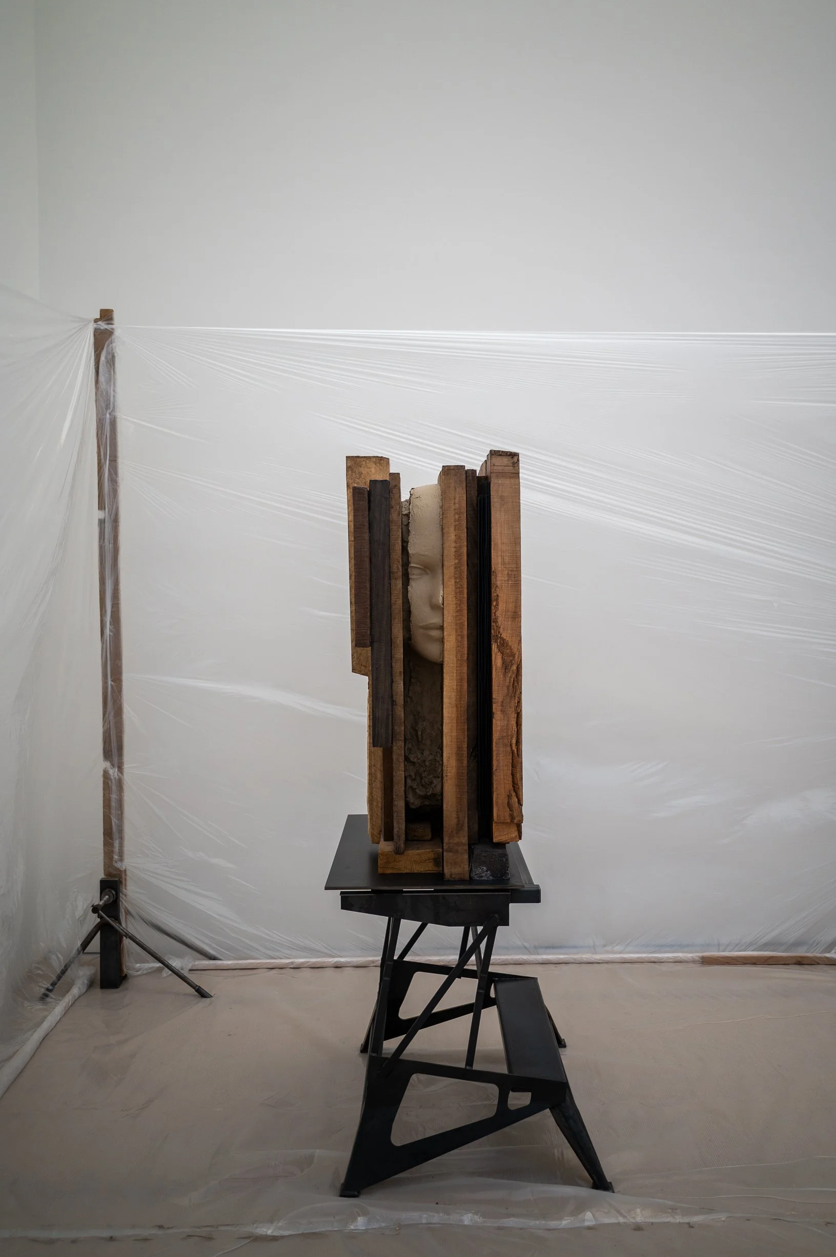 Planked Head, Mark Manders