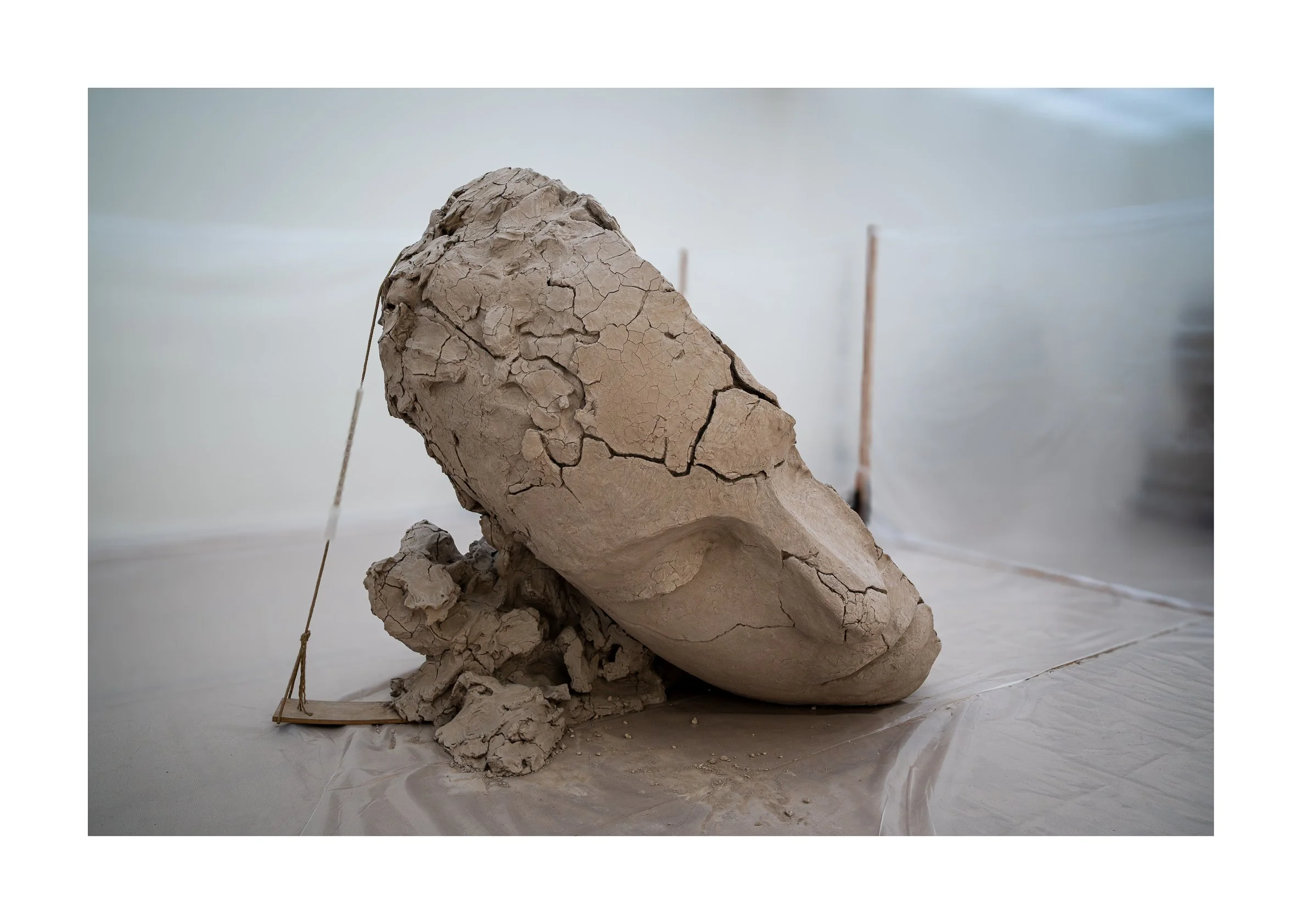 Laying head, Mark Manders