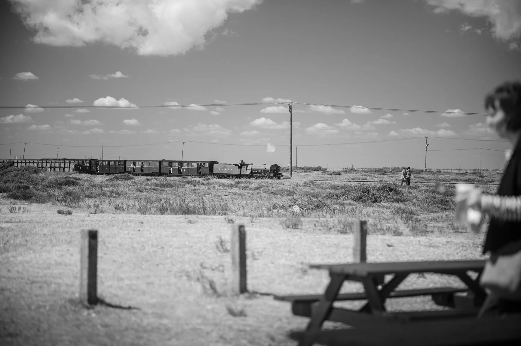 The Romney, Hythe and Dymchurch Railway (RH&DR) train