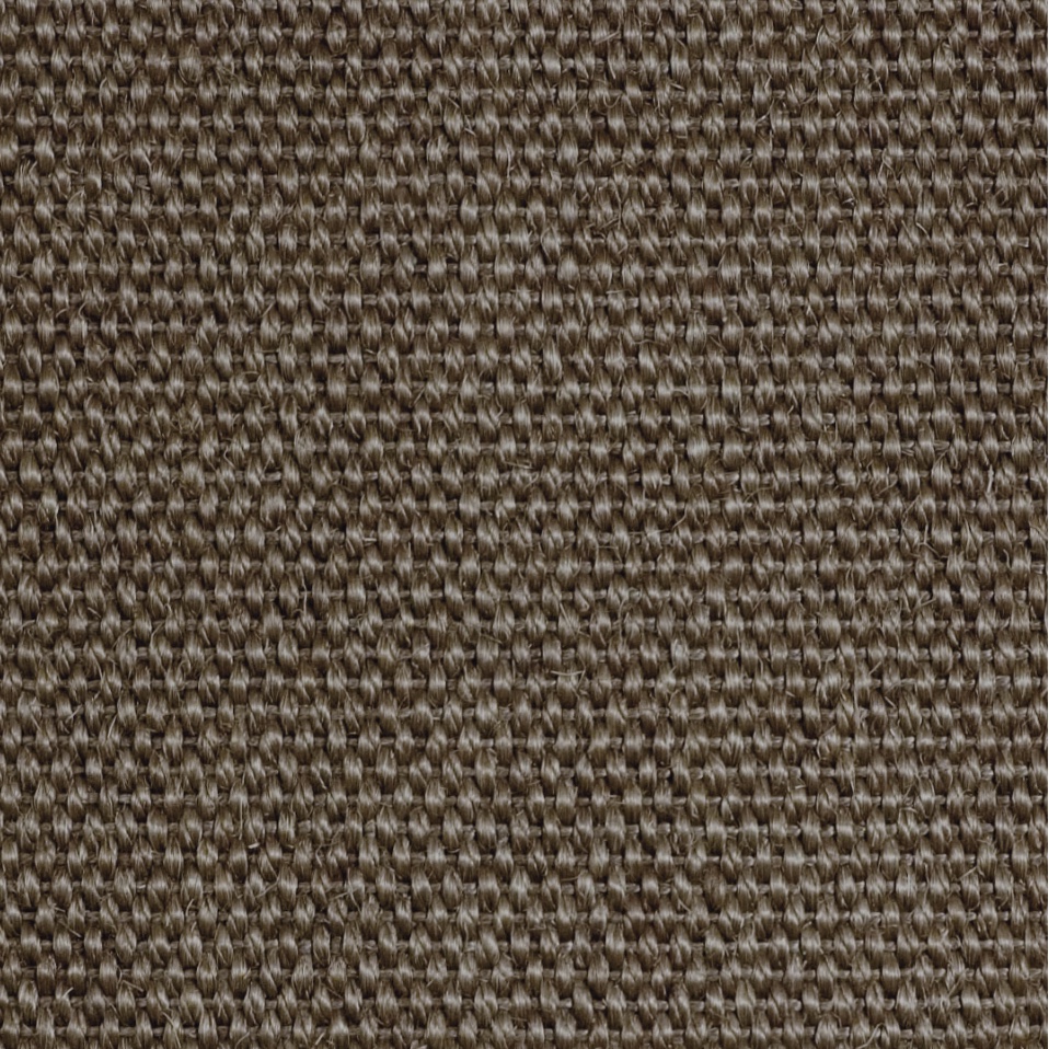panama - rye