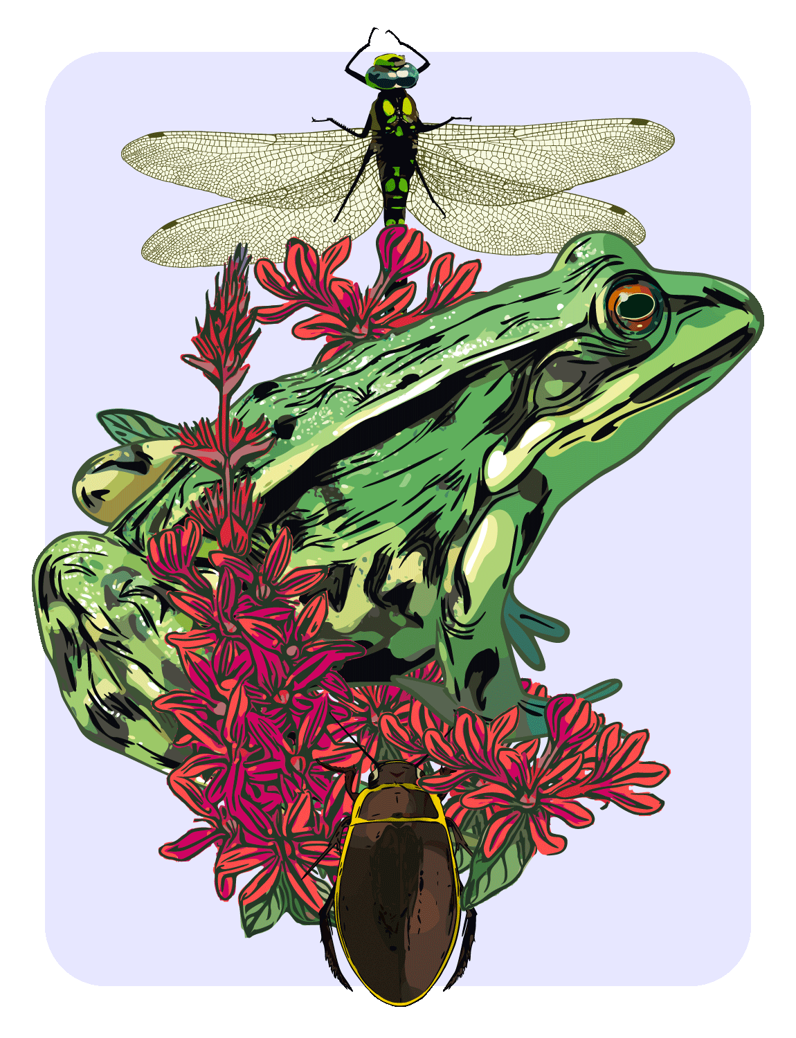 Illustration eines grünen Laubfroschs mit einer Libelle und roten Blumen am Teichrand für das NABU Projekt