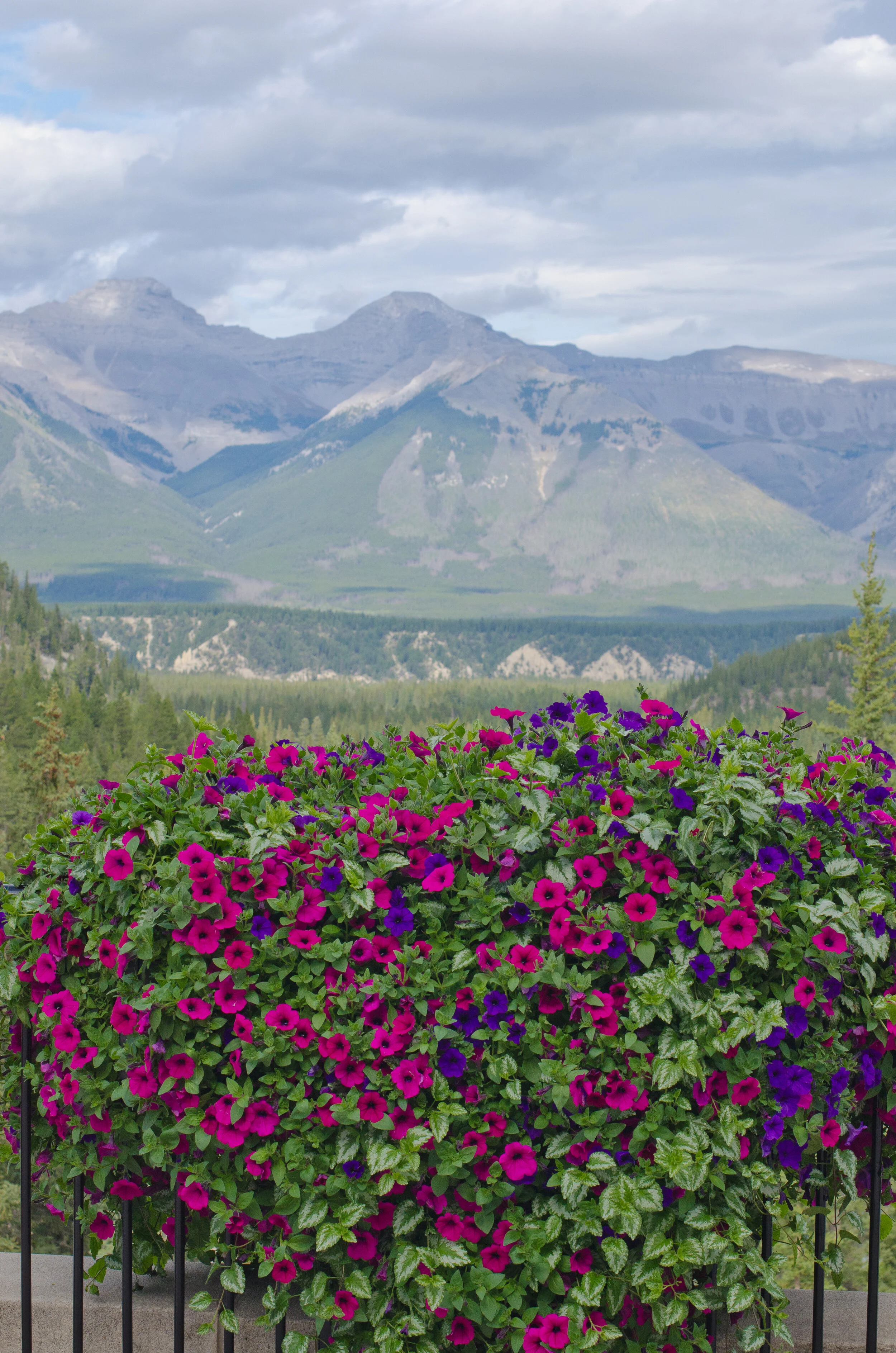 DSC_1210-1.jpg