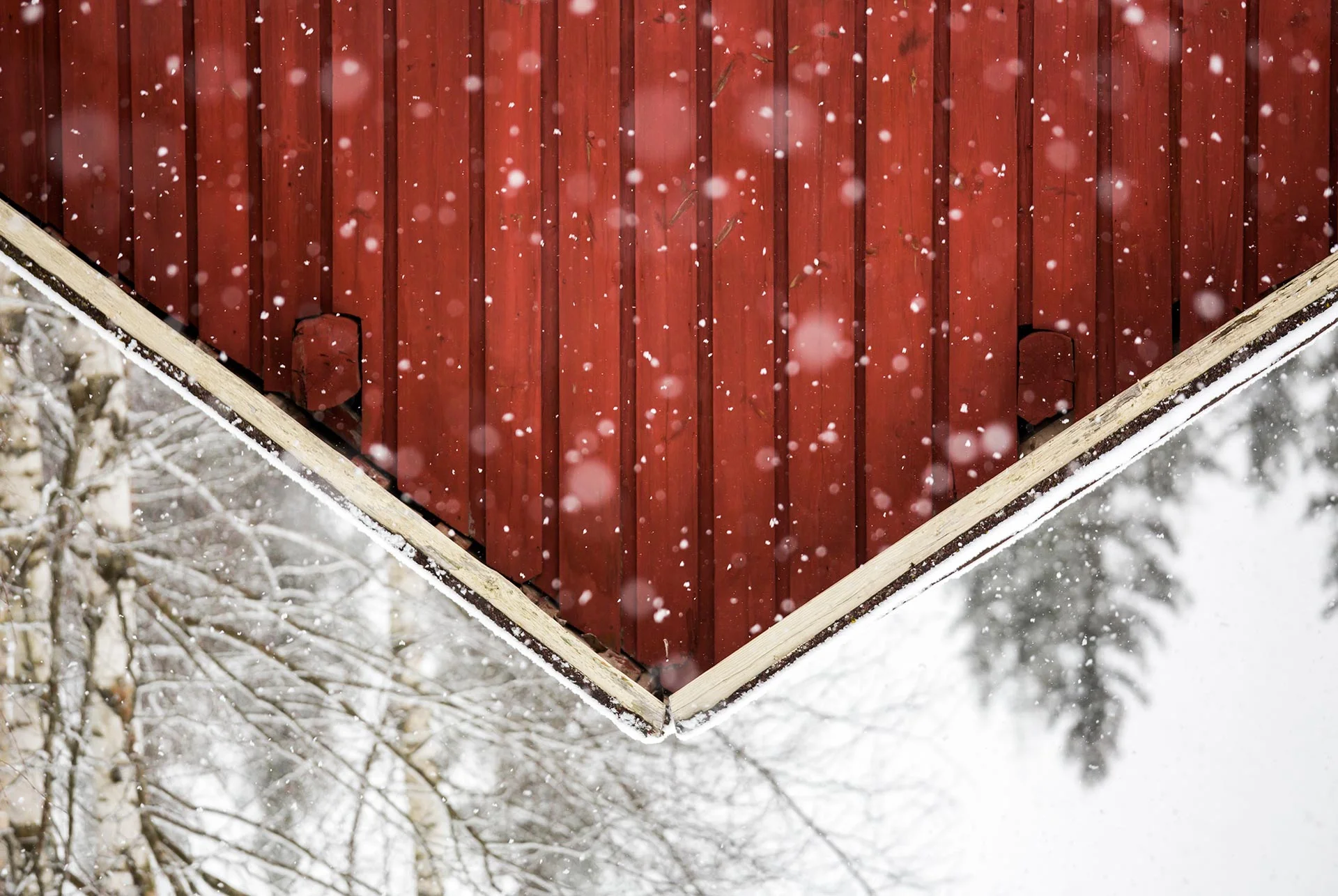 finspiration-header2.jpg