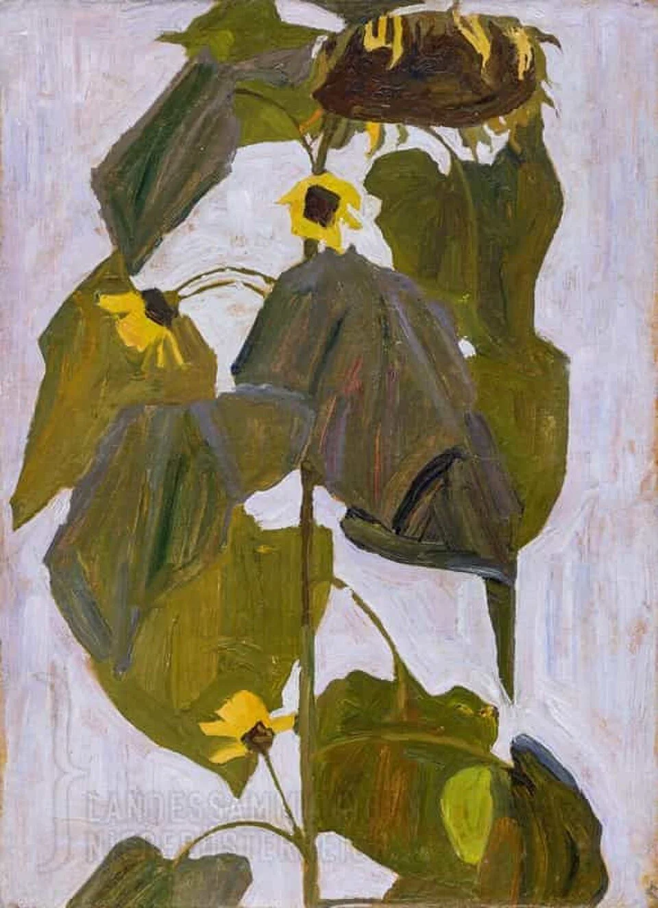 5/4/26