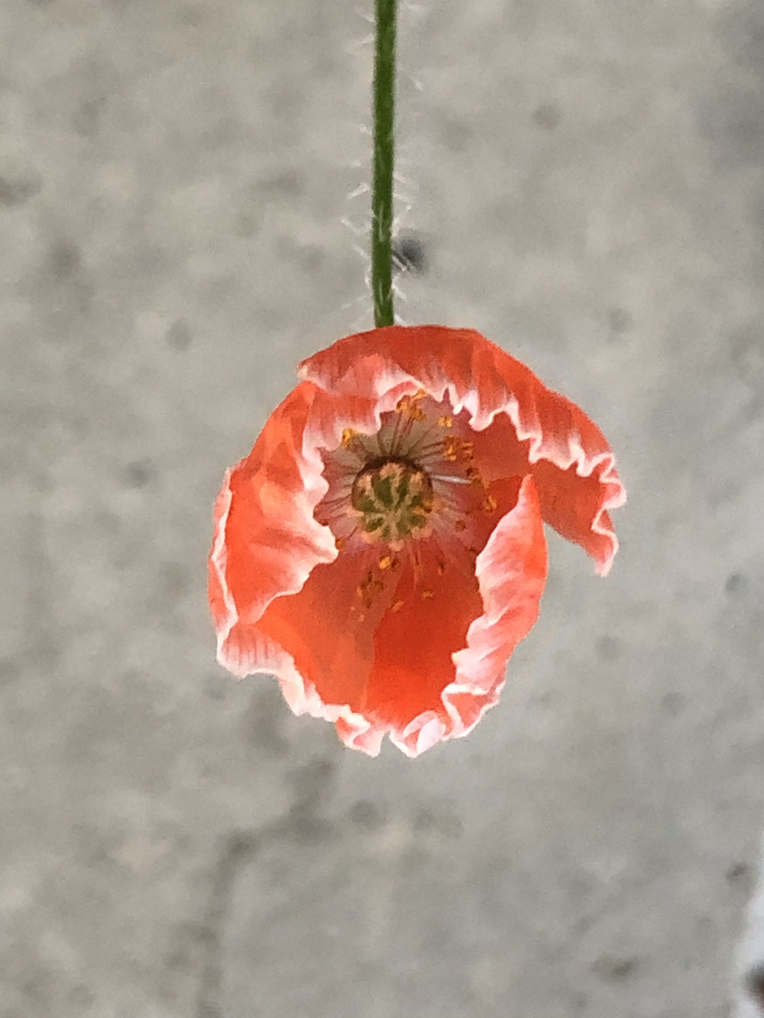 9/13/26