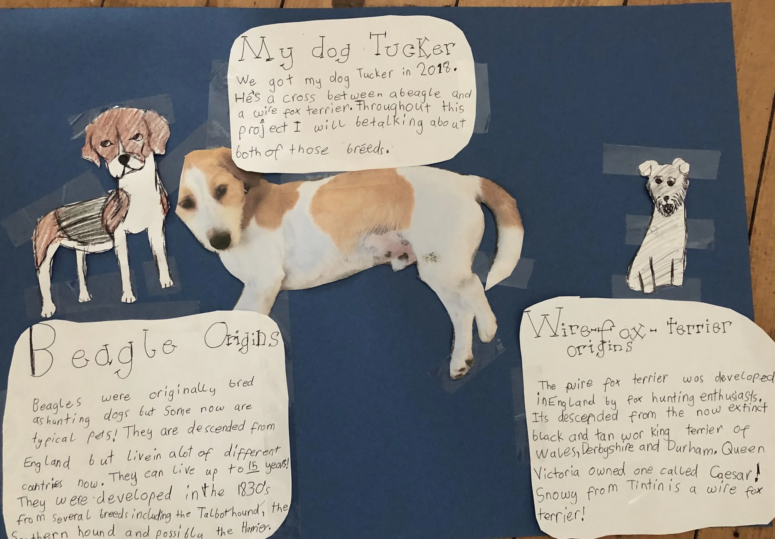 Realtin S Blog St Killian S School Telephone 021 450 5168