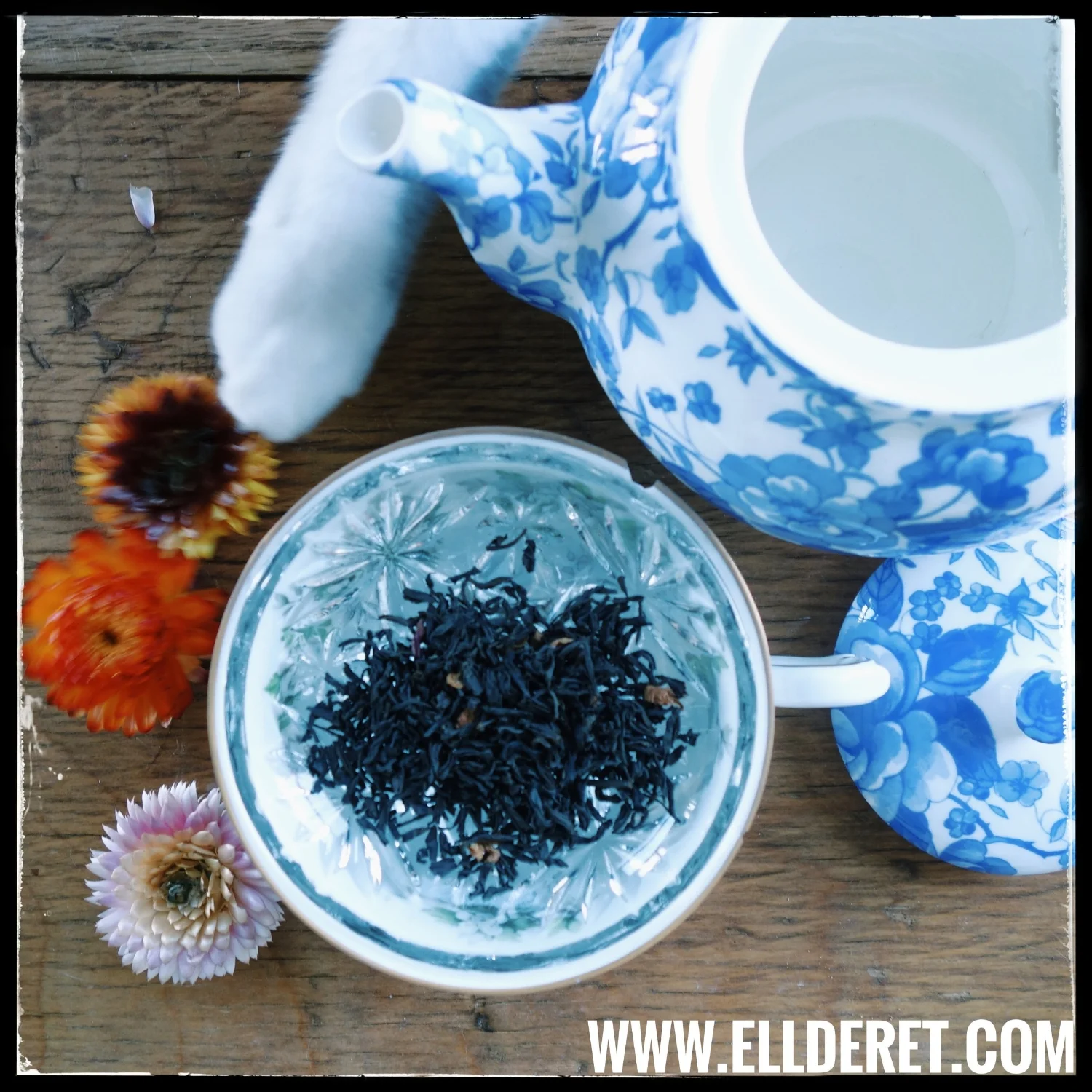 em-markoff-ellderet-writing-mascot-tea-time.jpeg