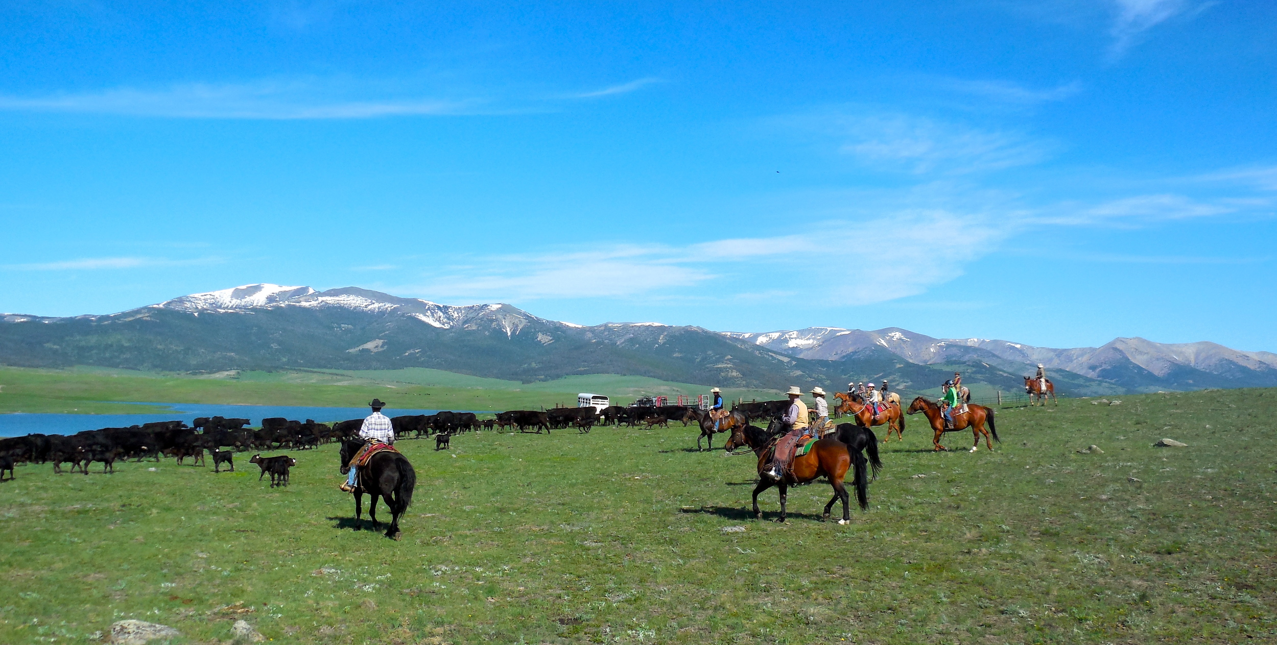 cowboys riding on agricultural land in montana, Selling Ag Land in an Entity