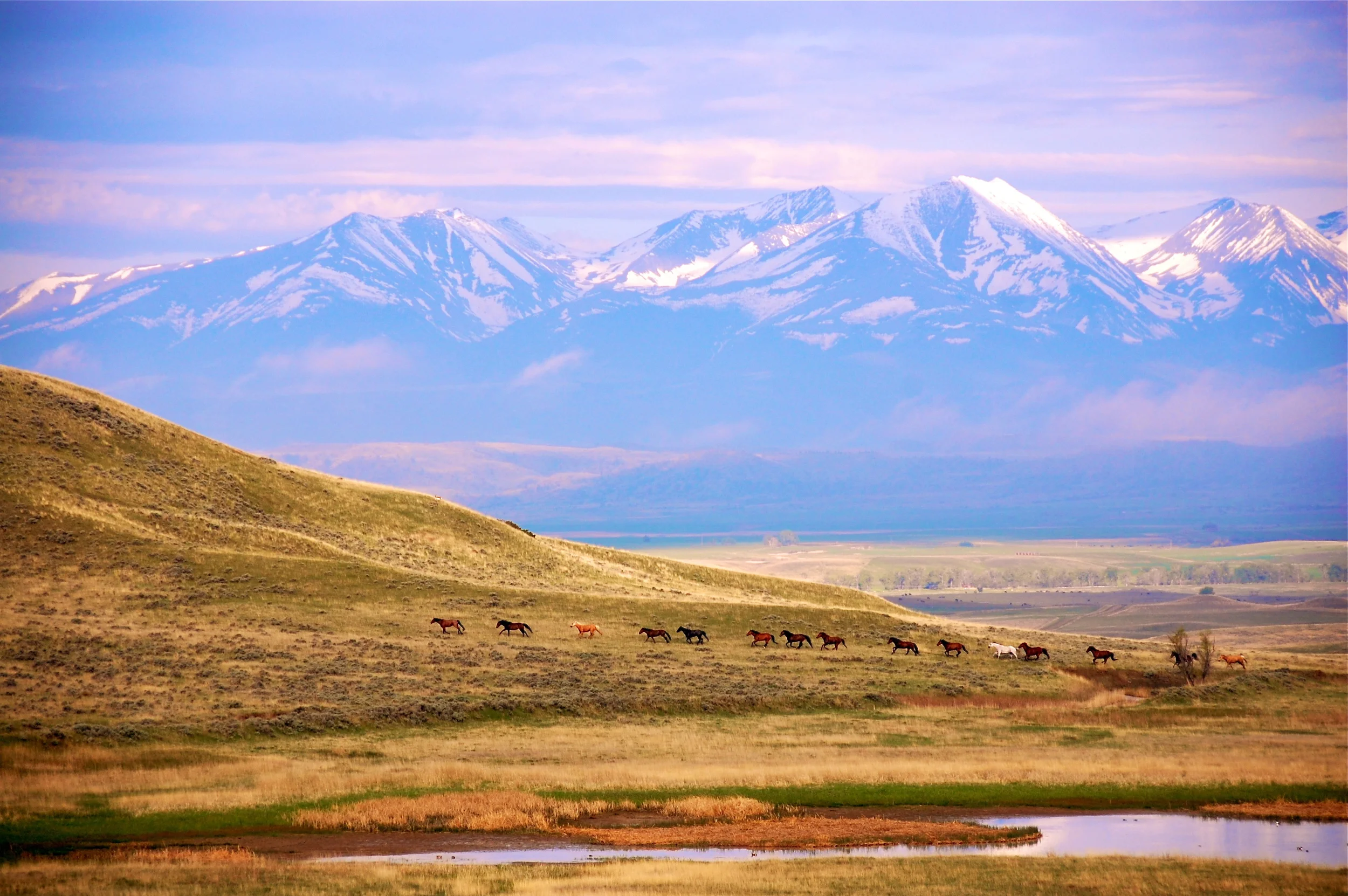 Wyoming Businessman Buys GSA Property 