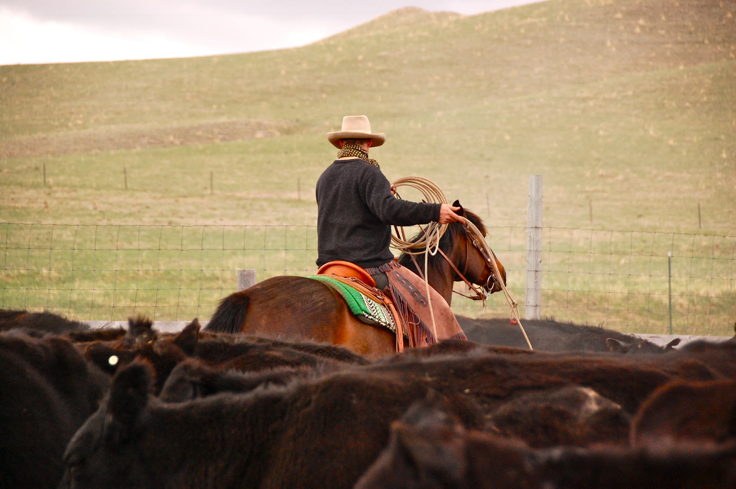 Wyoming Businessman Part 2: Adds NNN Ground Lease to Portfolio