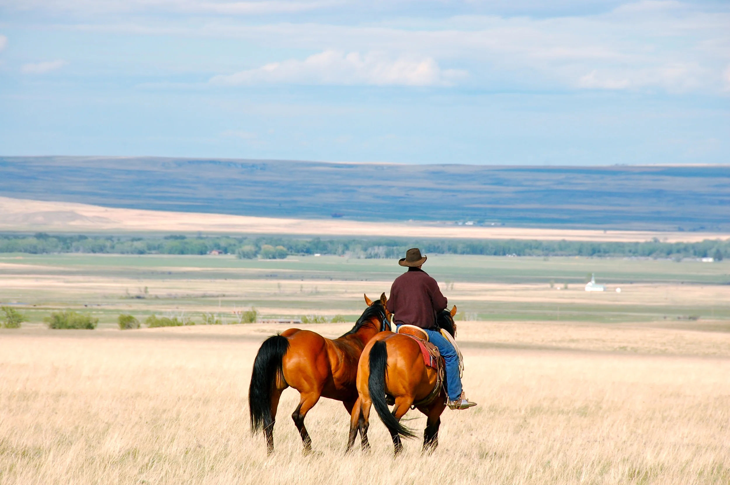 Rancher Diversifies Into Medical and Restaurant Properties