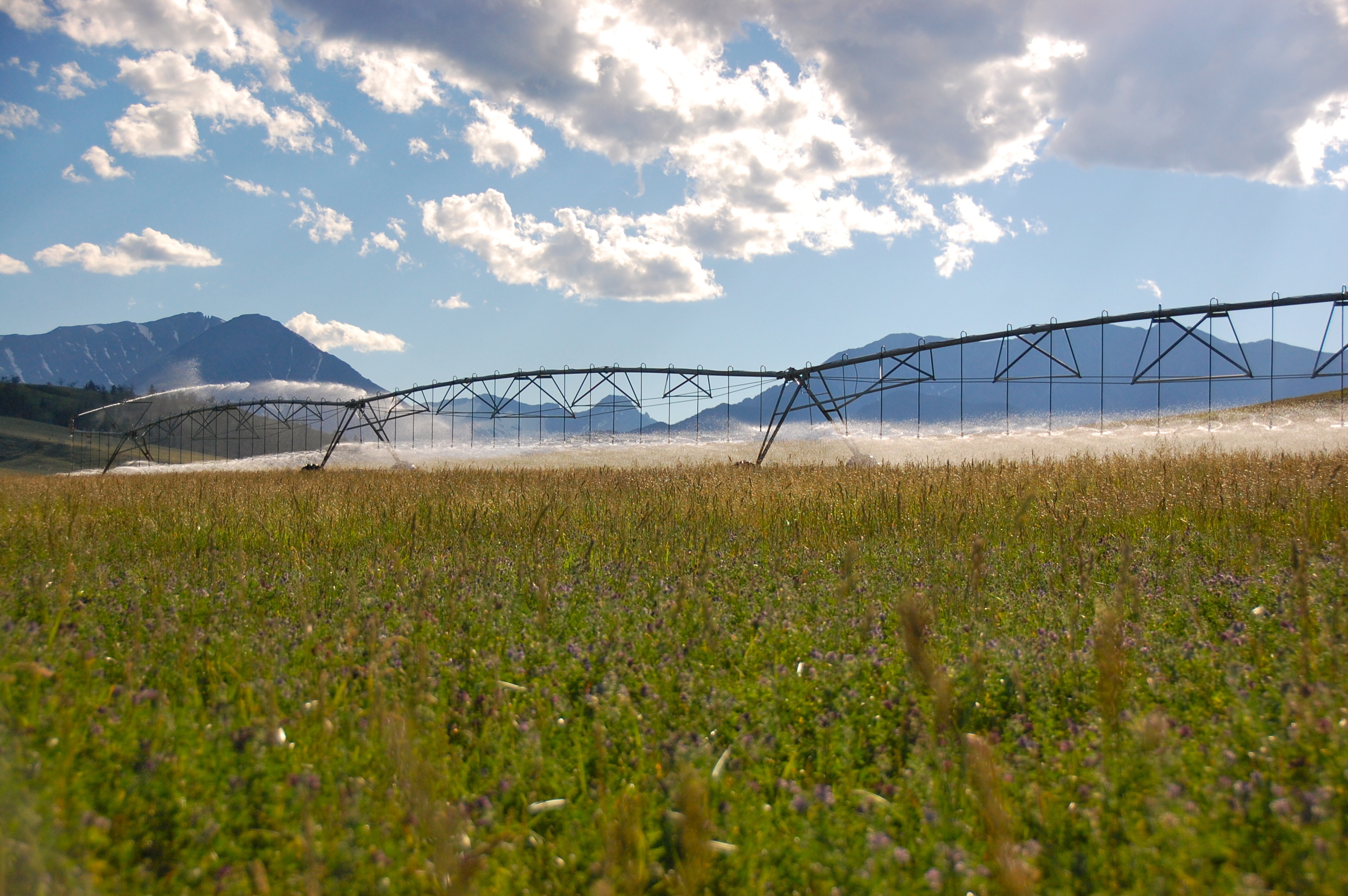 Pivots spread water on a Family Farm or Ranch in Montana