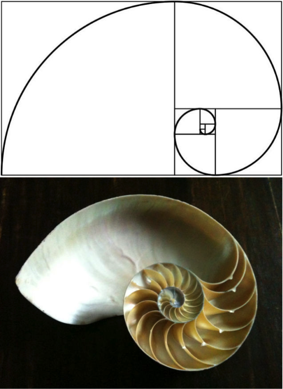 The Fabulous Fibonacci Numbers and the Golden Mean — Worcester