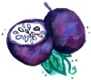 MNS Logo_Passionfruit Illustration.jpg