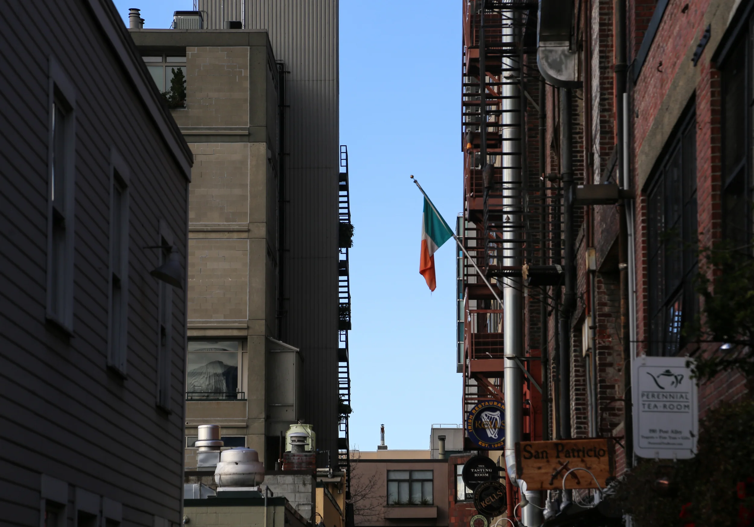 irish.jpg