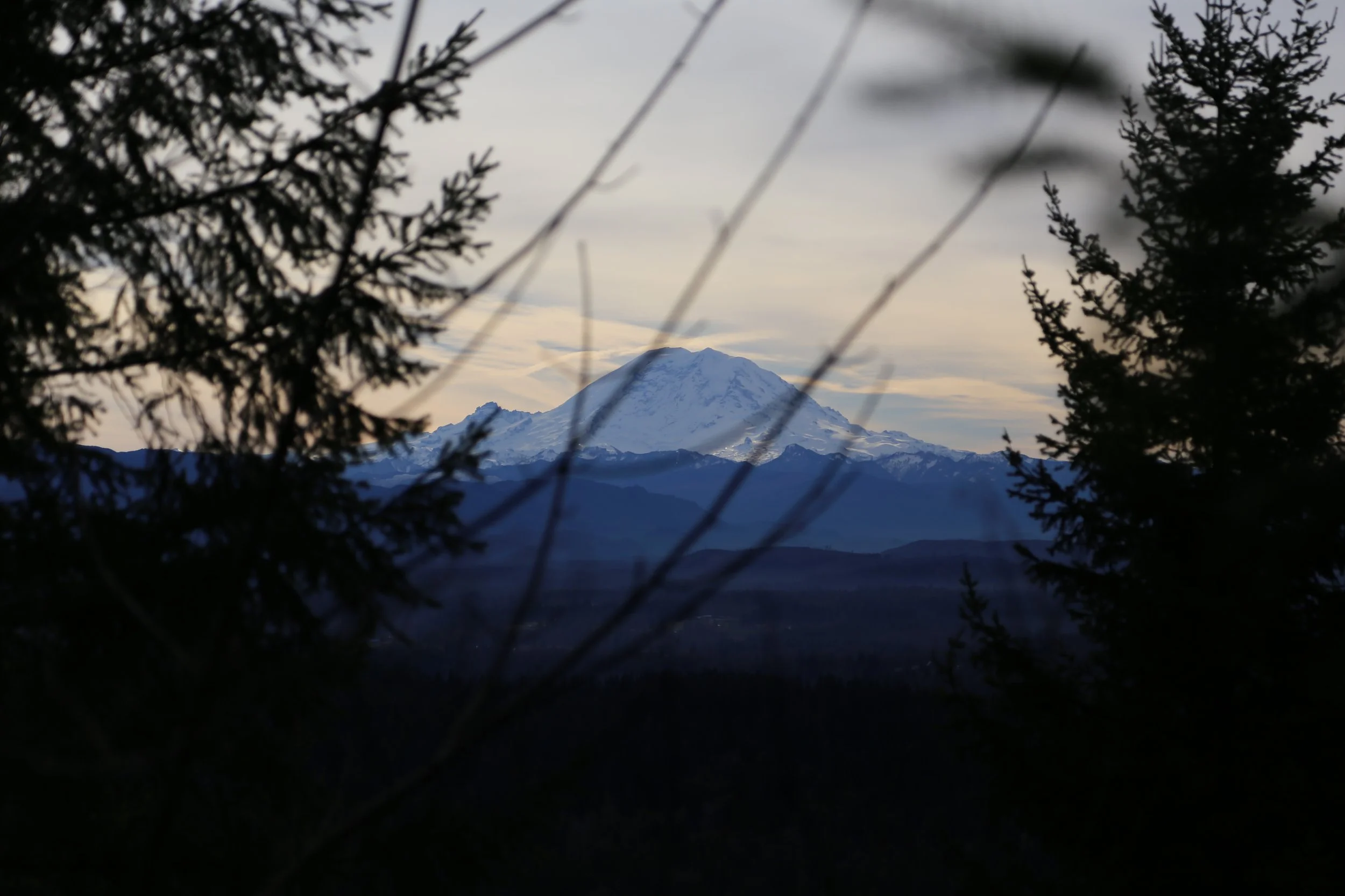 IMG_4545.jpg