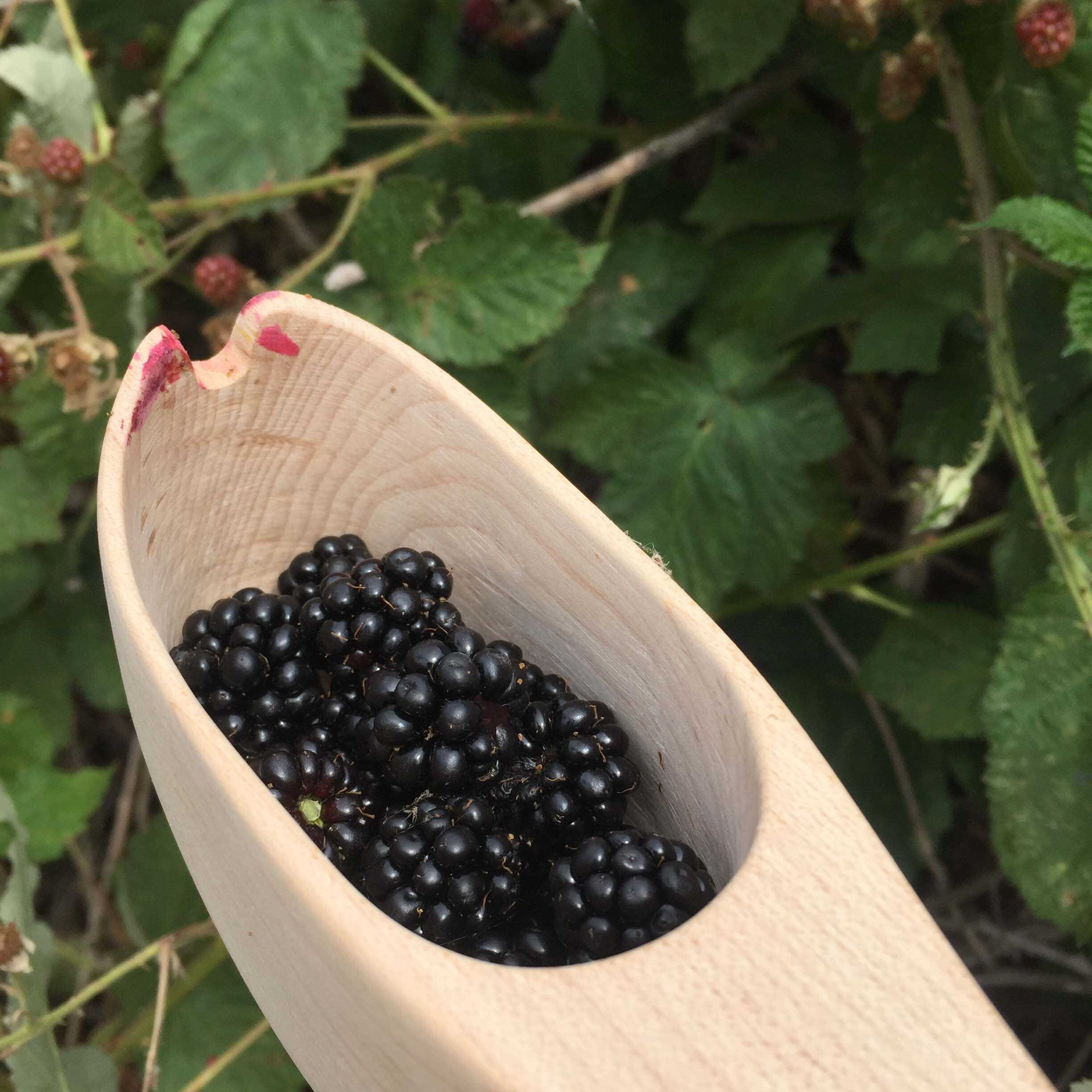 Adrian-Weidmann-berry-spoon-10-low.jpg