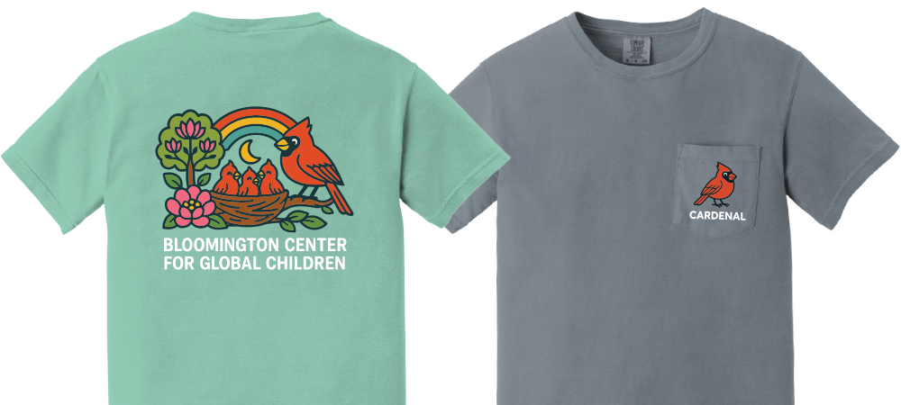 BCGC COMFORT COLORS HEADER.png