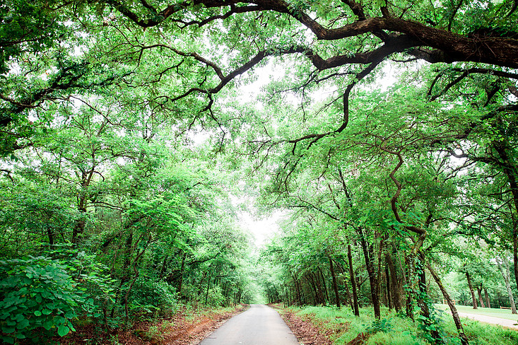 Photo Credit: The Grove