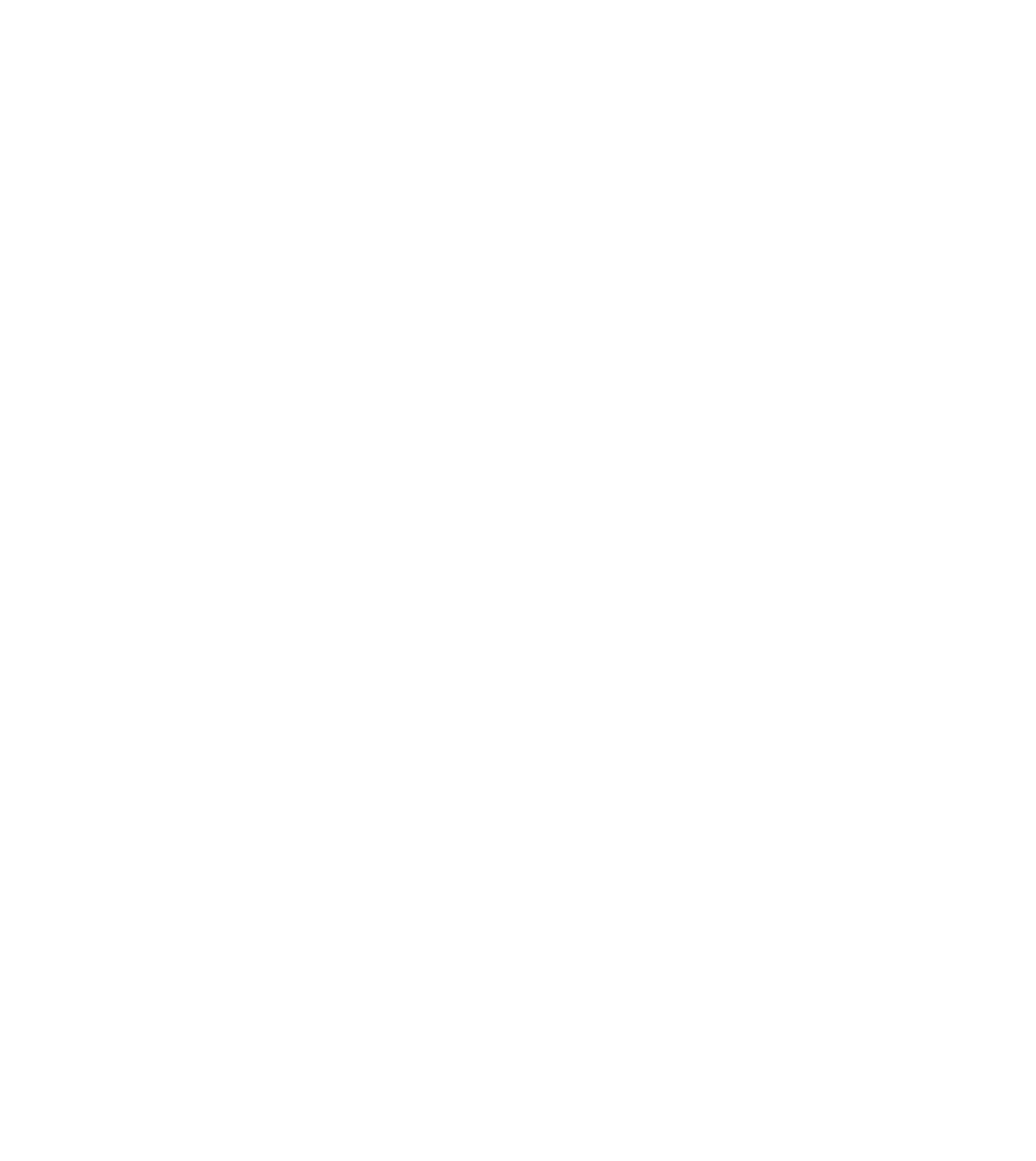 Toro Boston