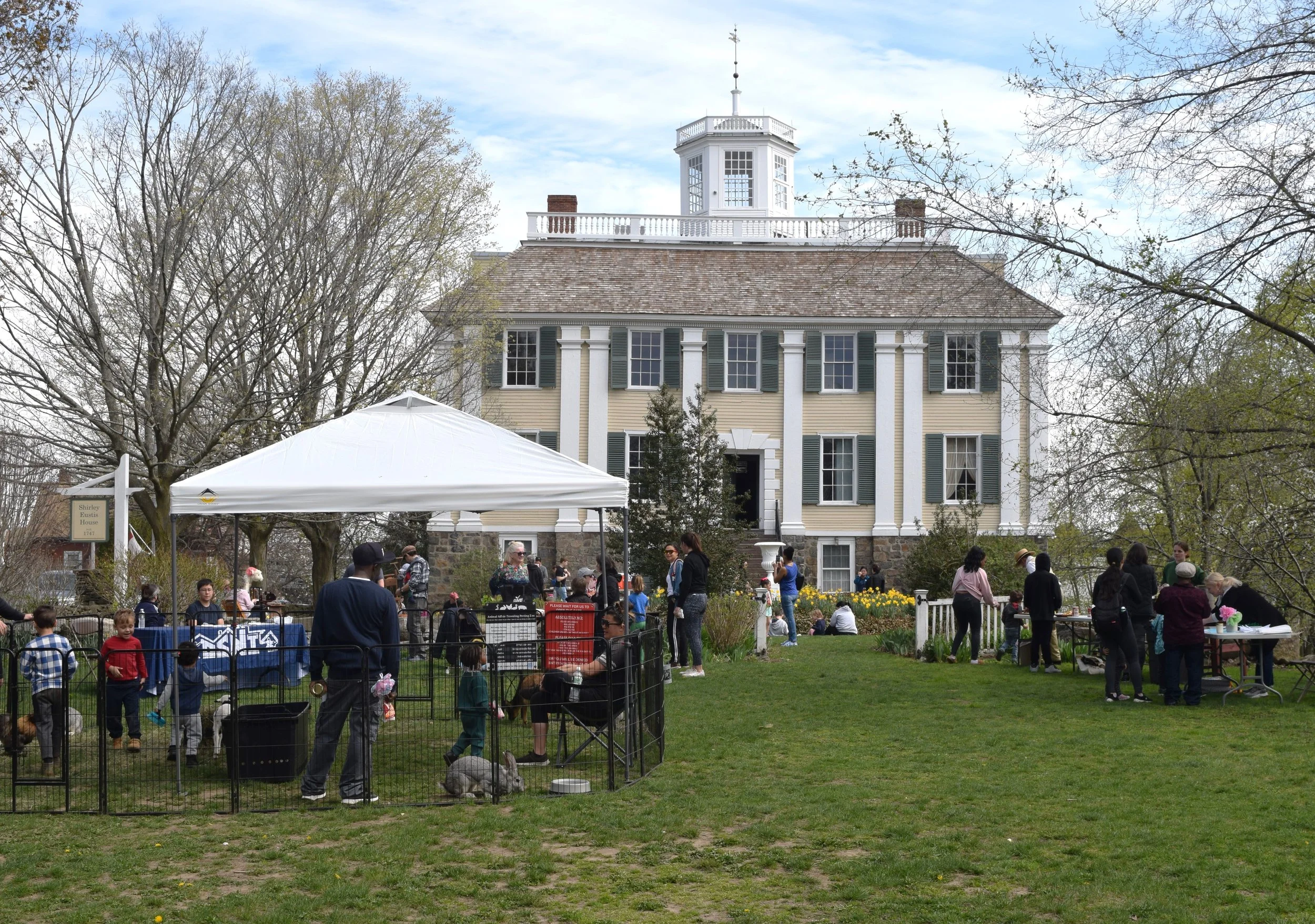 DSC_0043 cropped (1).JPG