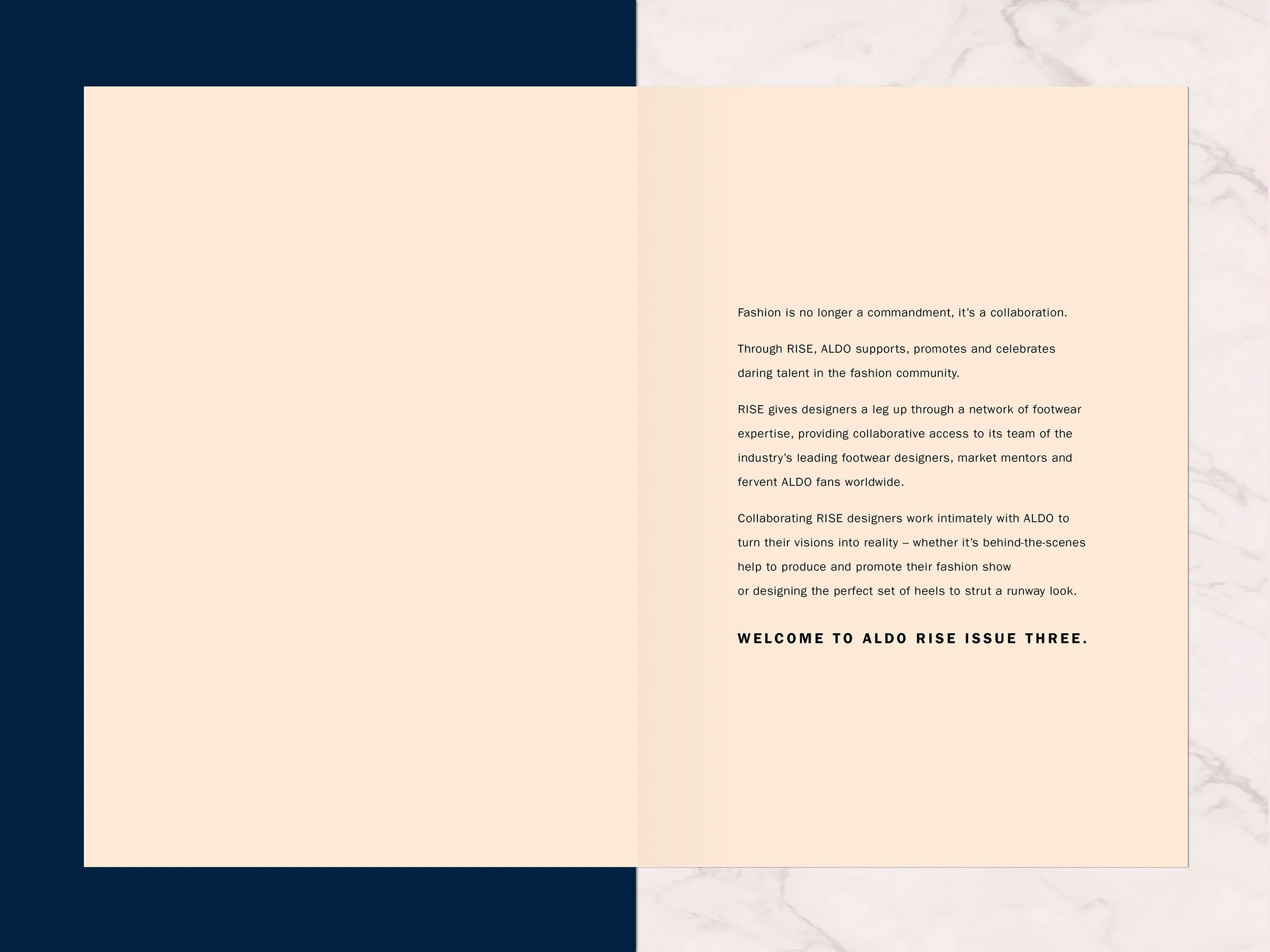 intro issue 3.jpg
