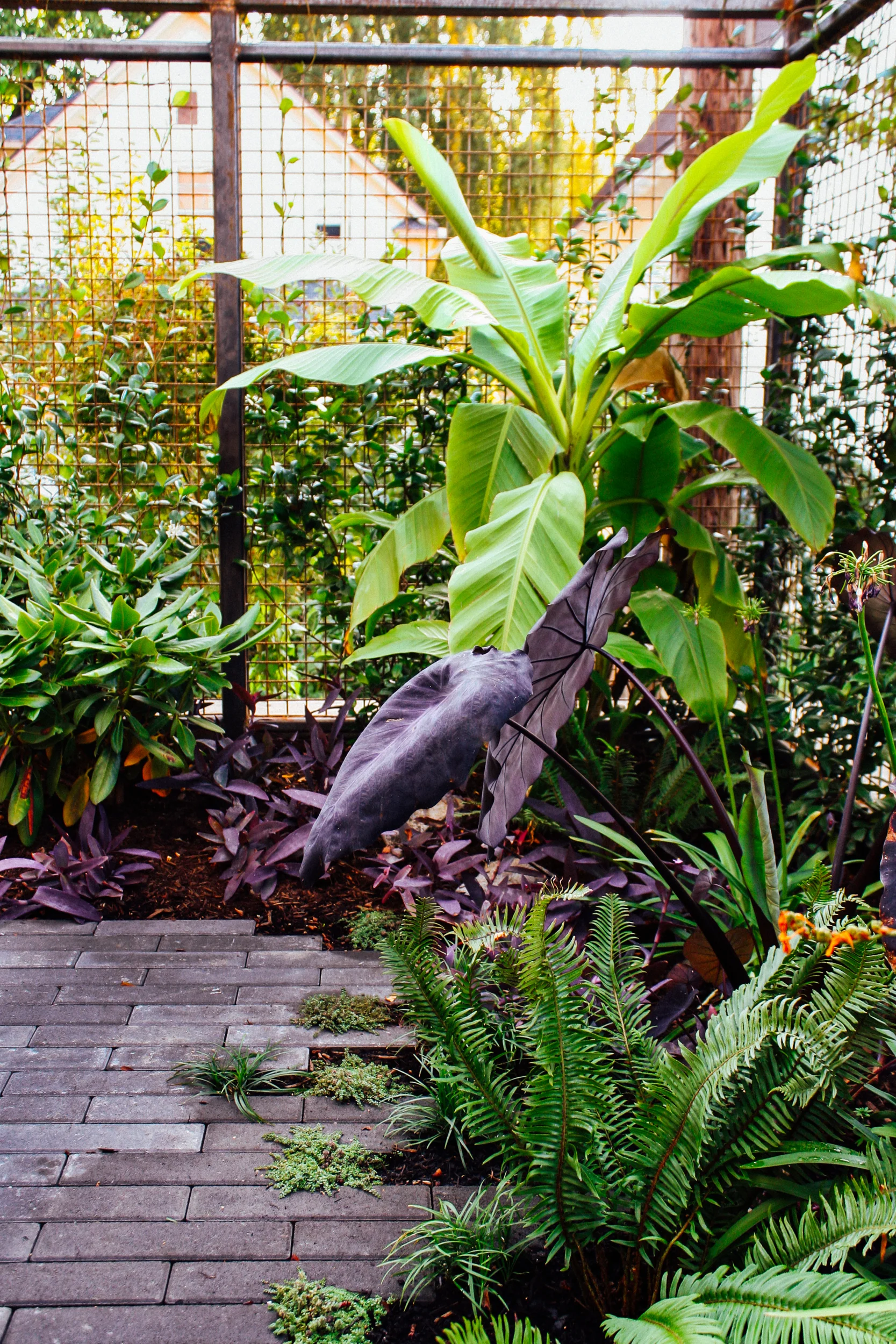 Boise Eliot Modern Pistils Landscape Design-7.jpg