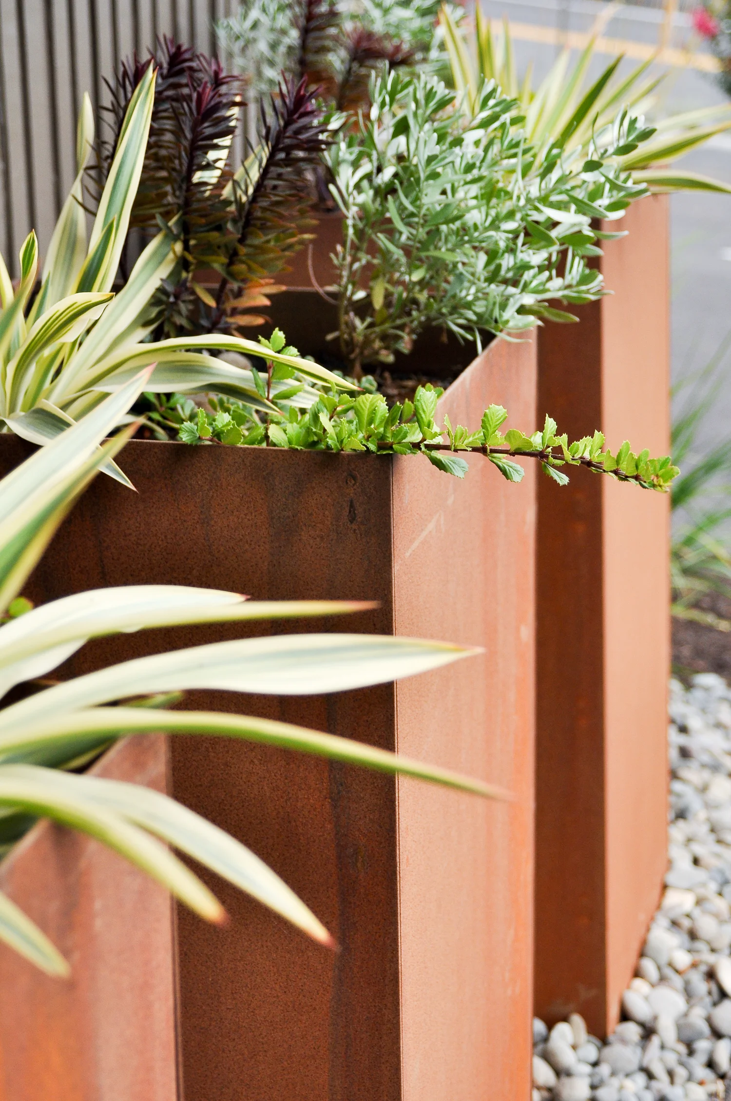 Boise Eliot Modern Pistils Landscape Design-6.jpg